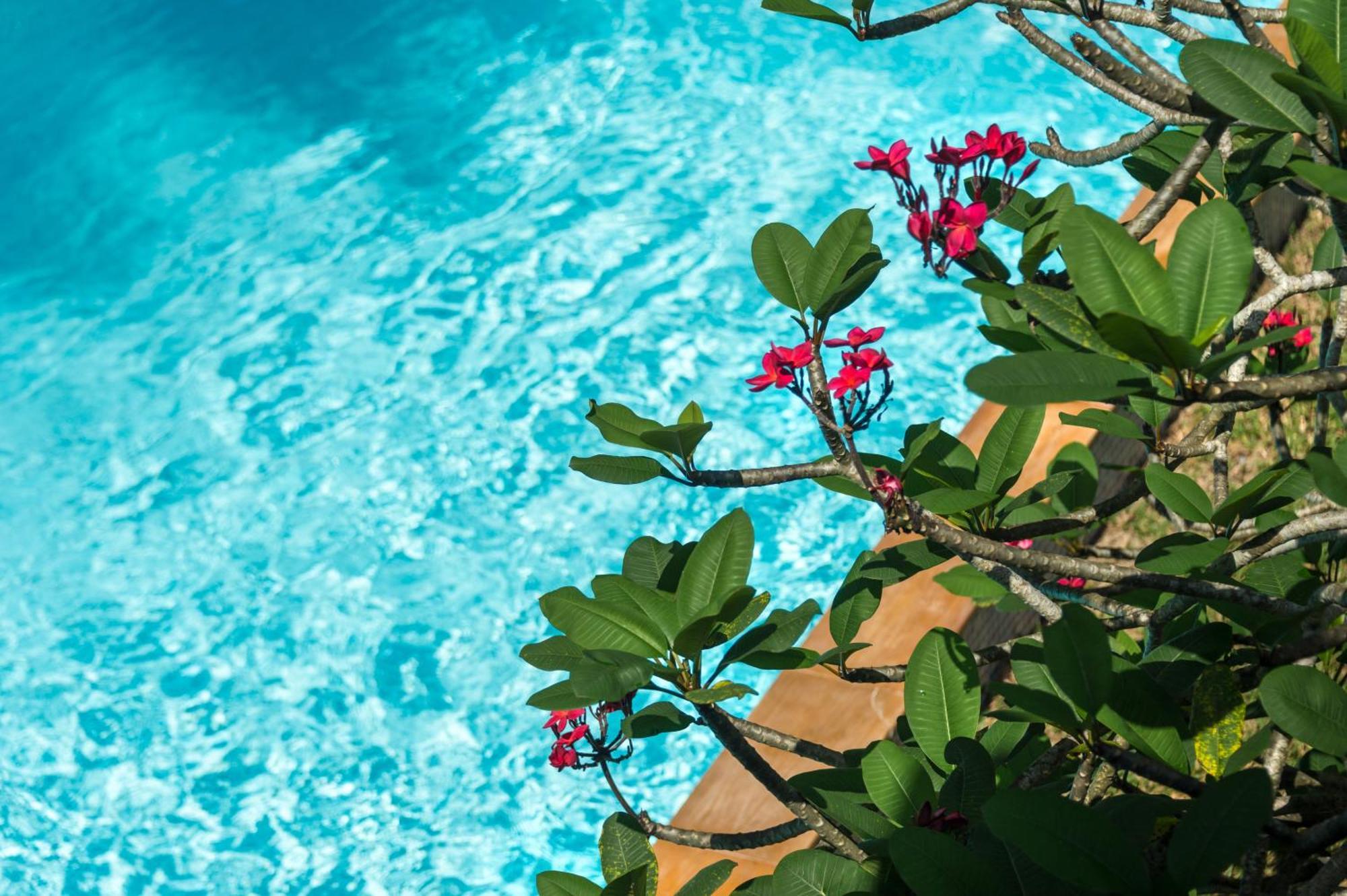 Hotel Lanta Thip House By Swiss-belhotel - Sha Koh Lanta