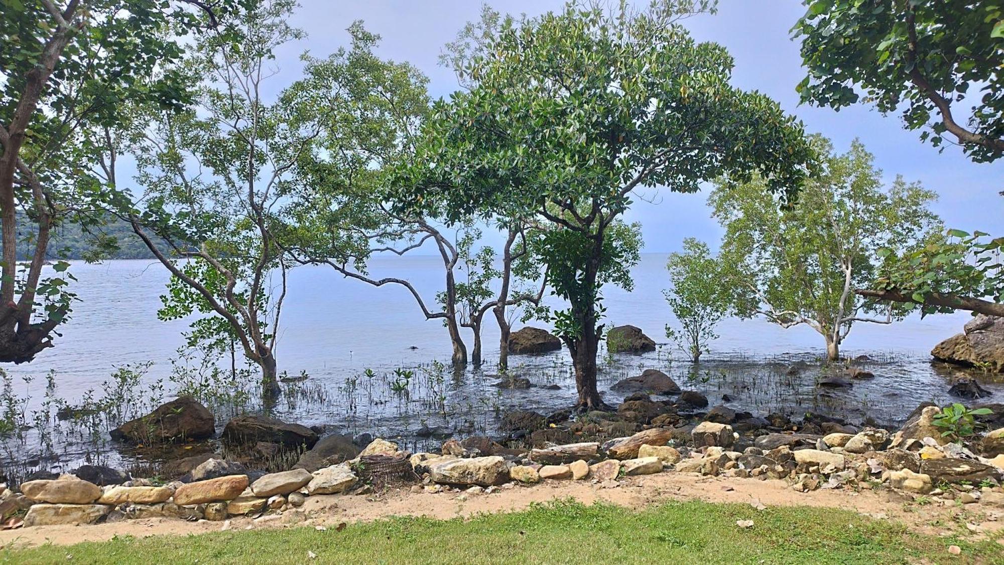 Resort Nest Sense Koh Chang