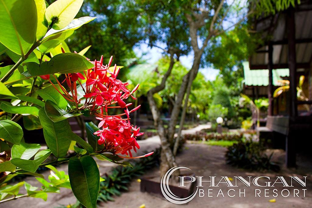 Resort Phangan