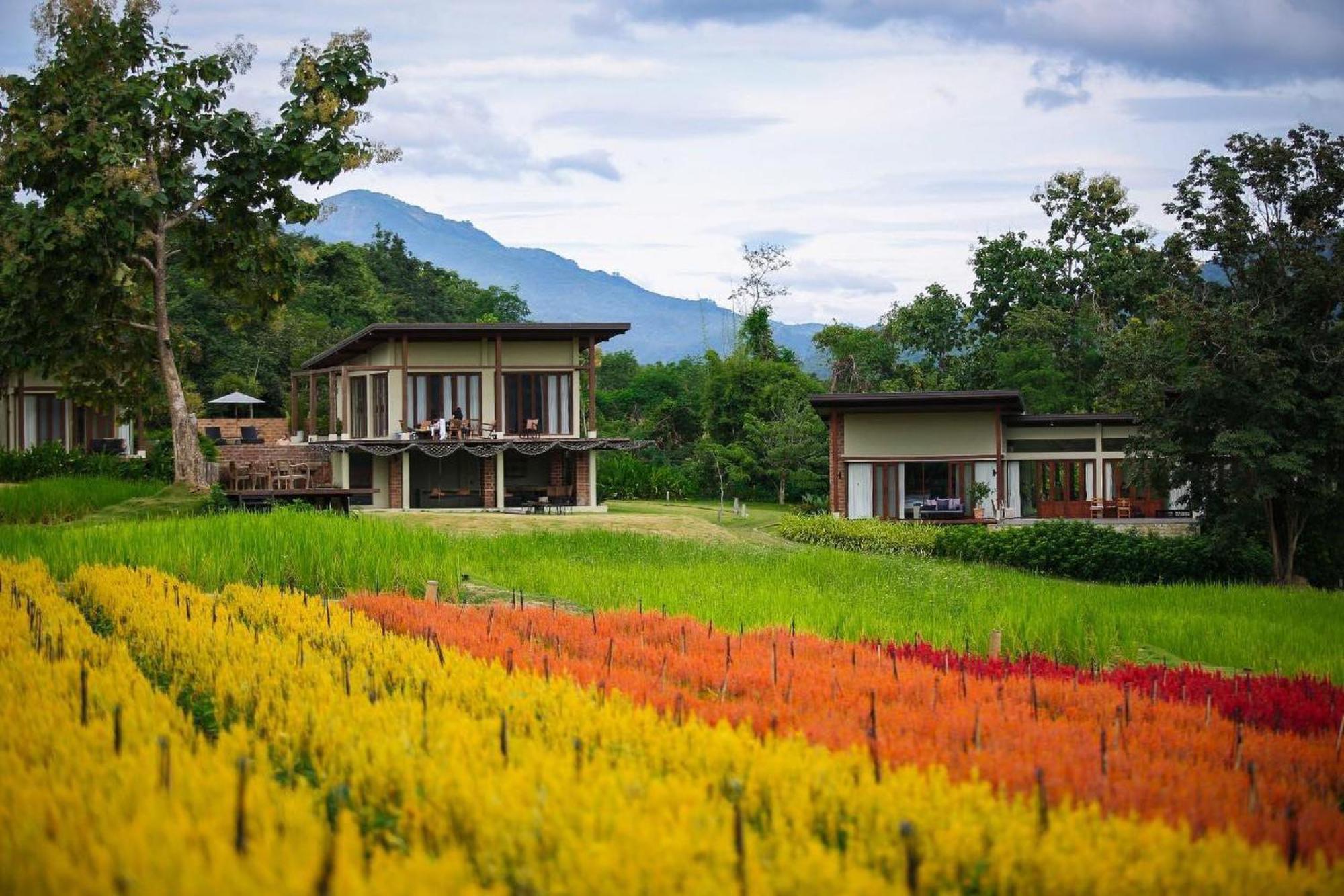 Resort Puripai