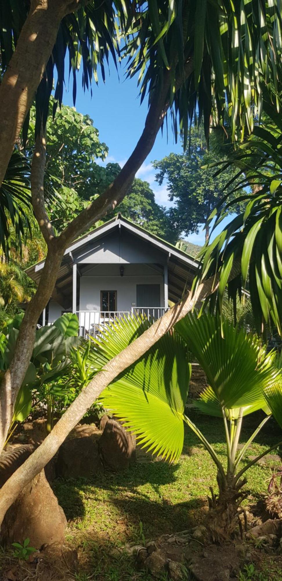 Cocoon Resort 3*