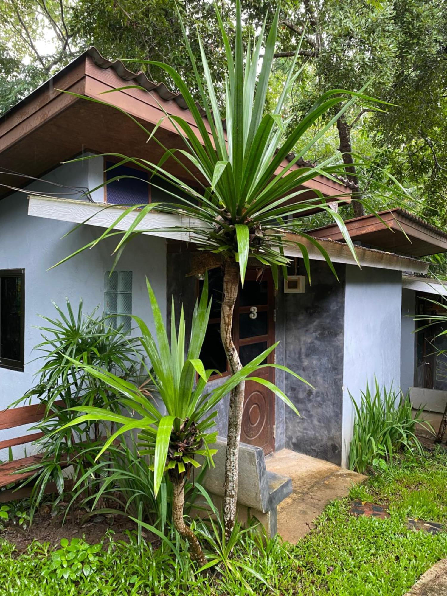Shaya Guest house