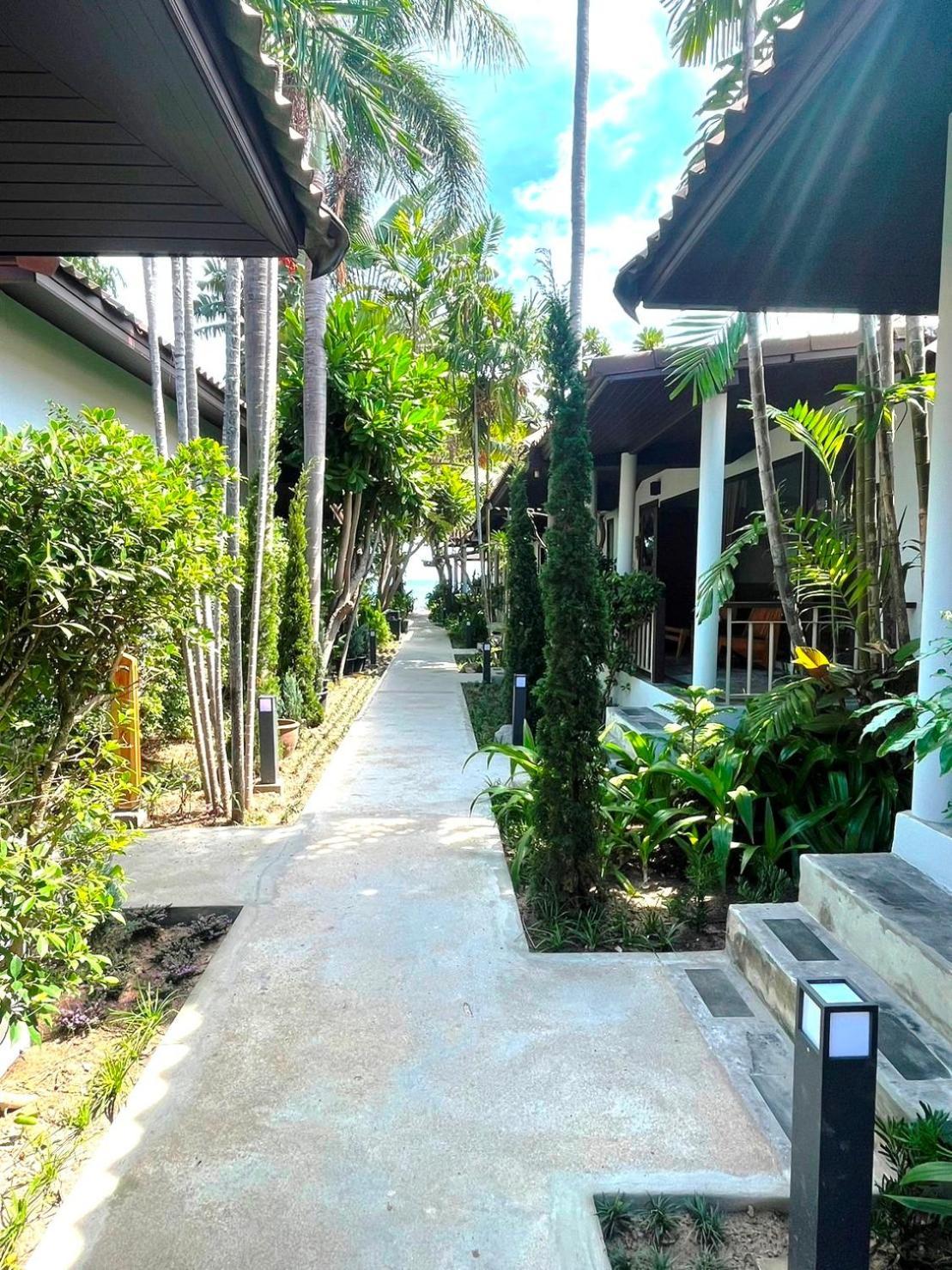 Evergreen 3* Chaweng (Koh Samui)