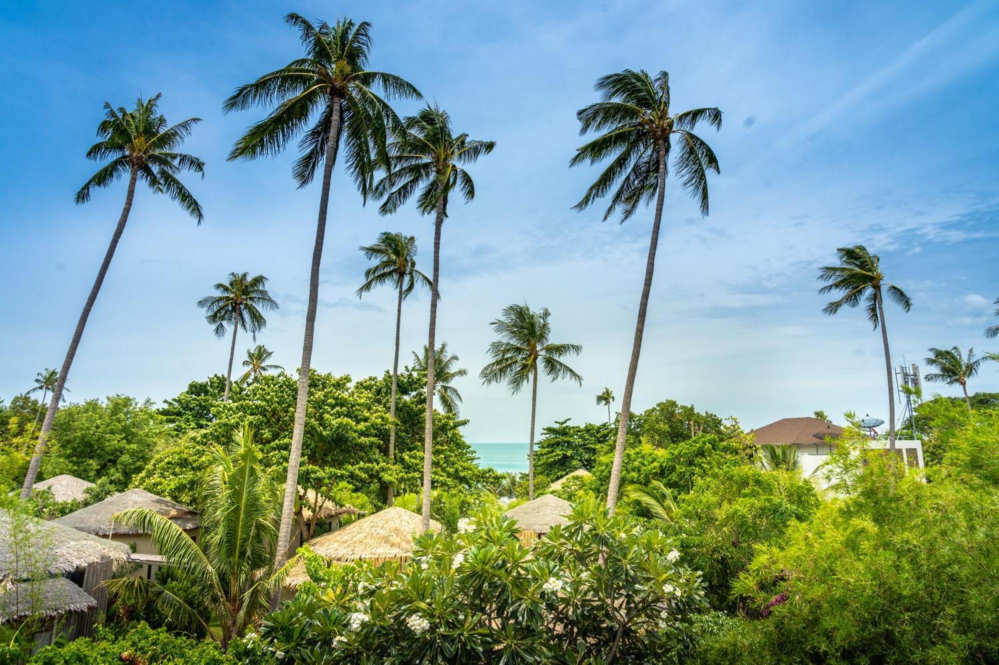 Sea Dance Resort 4*