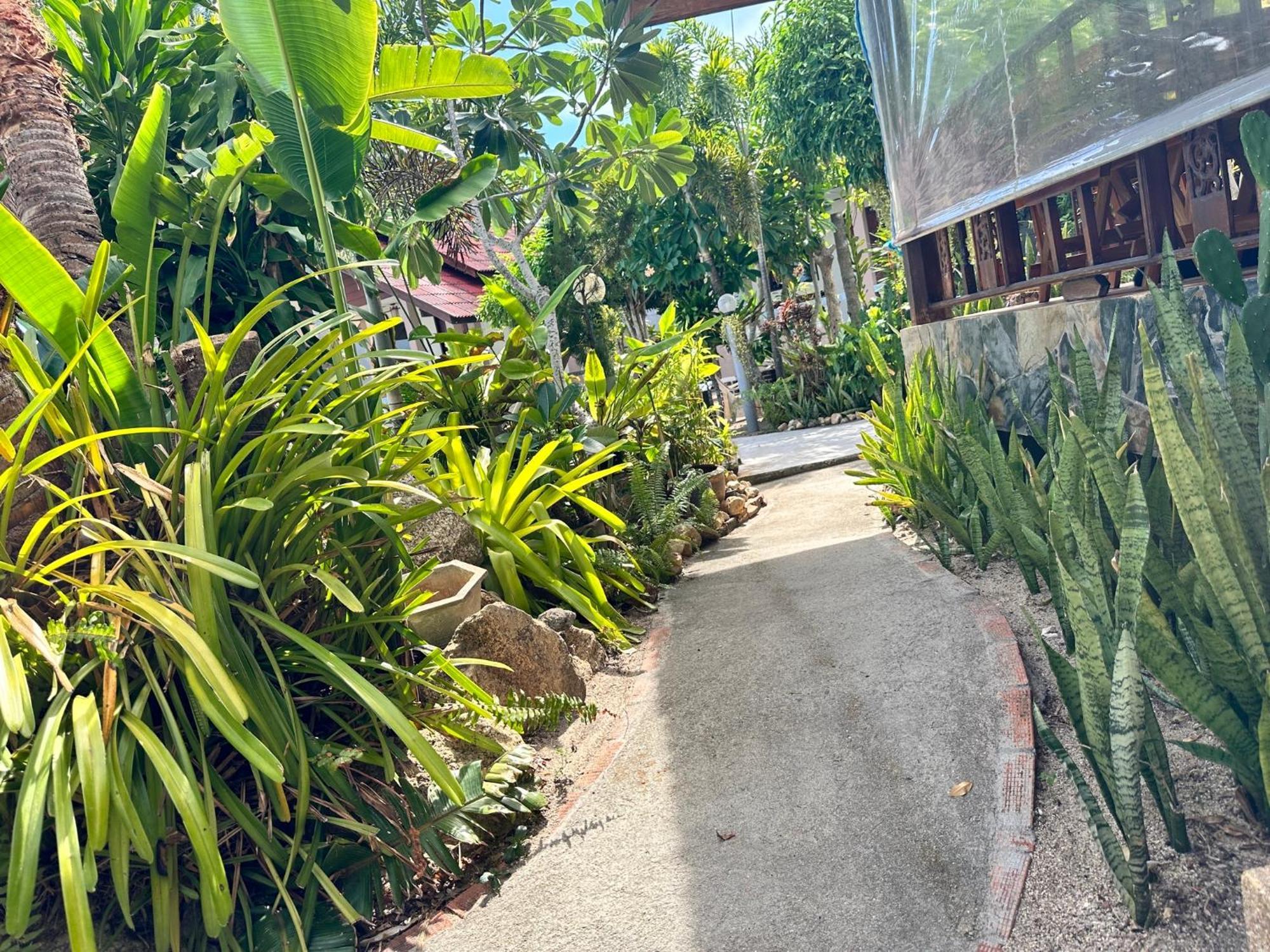 Guest house Phangan