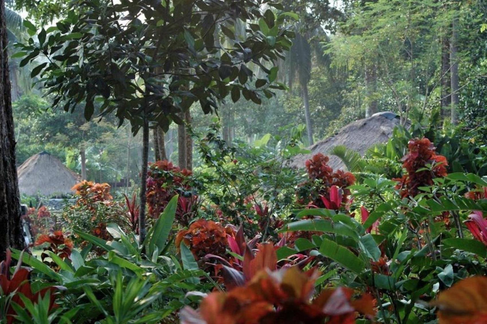 Oasis Koh Chang