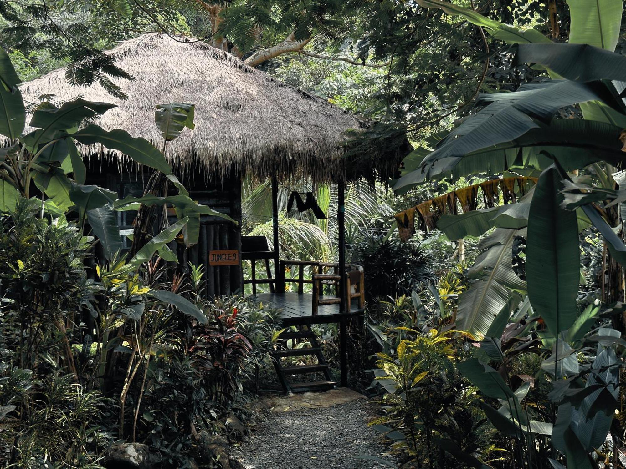 Oasis Guest house