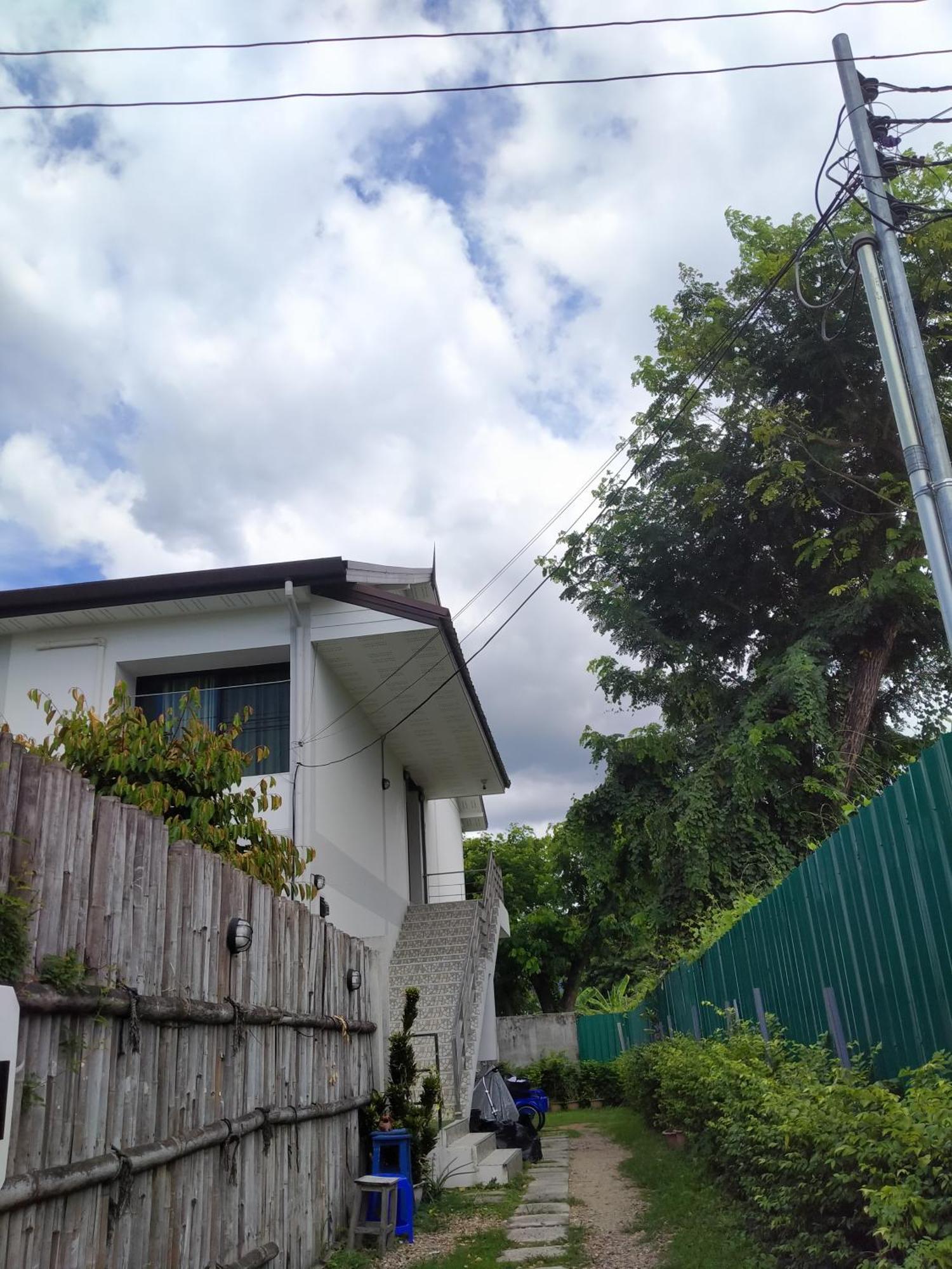 Albergue Sakura House