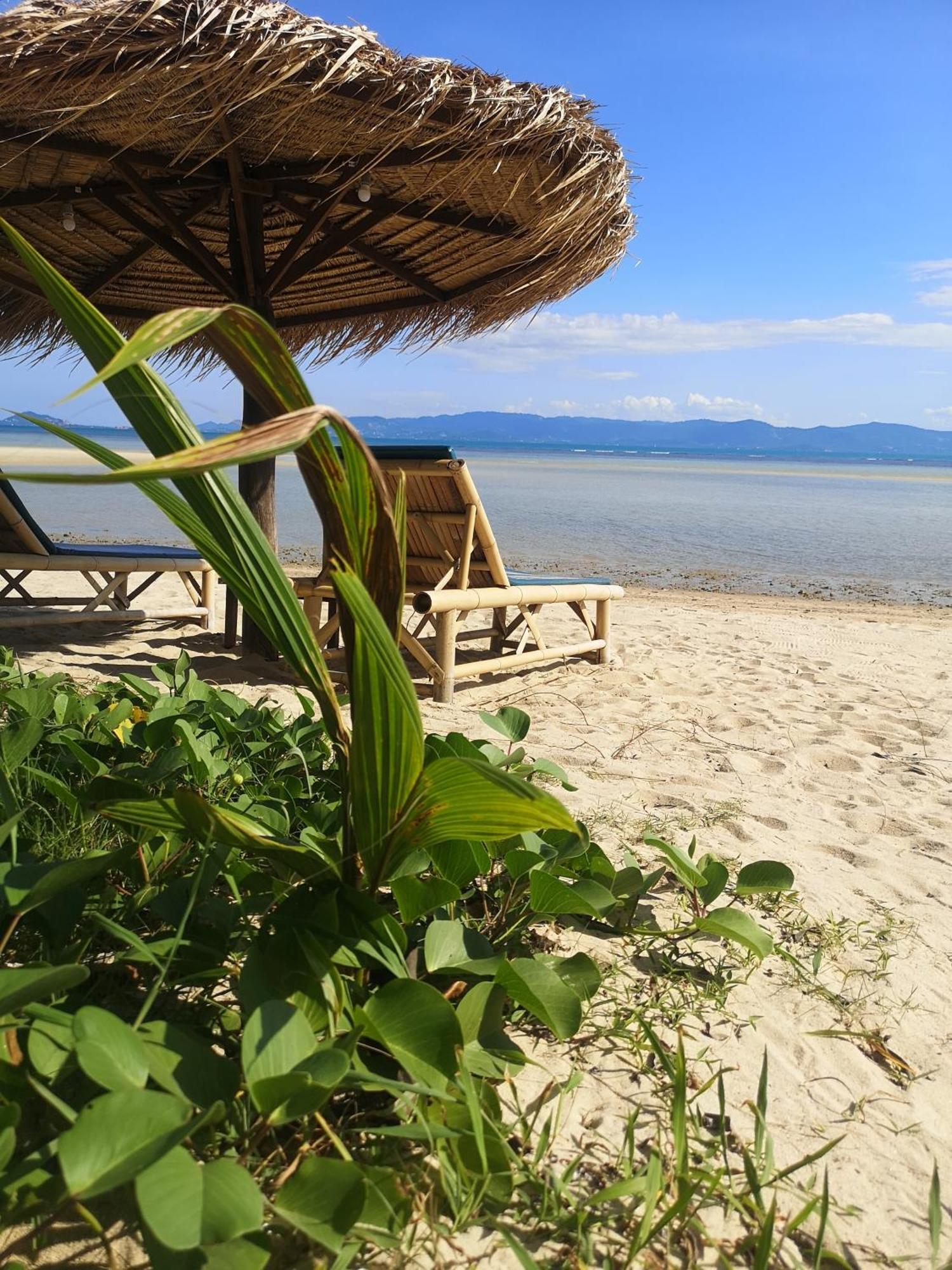 Seaesta 3* Baan Tai