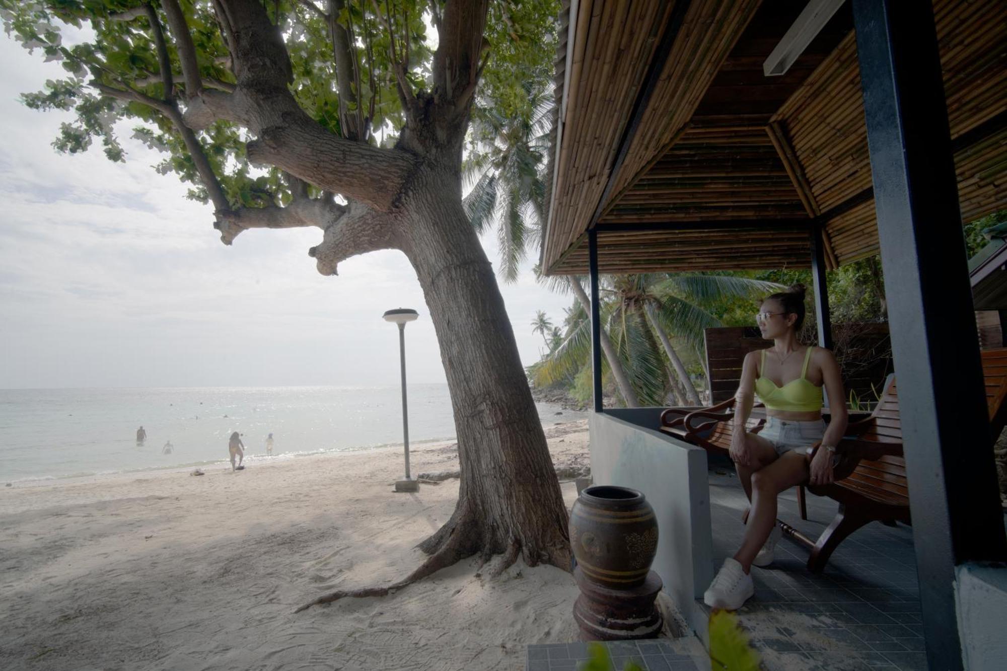 Resort Cha-cha Salad Koh Phangan Salad Beach