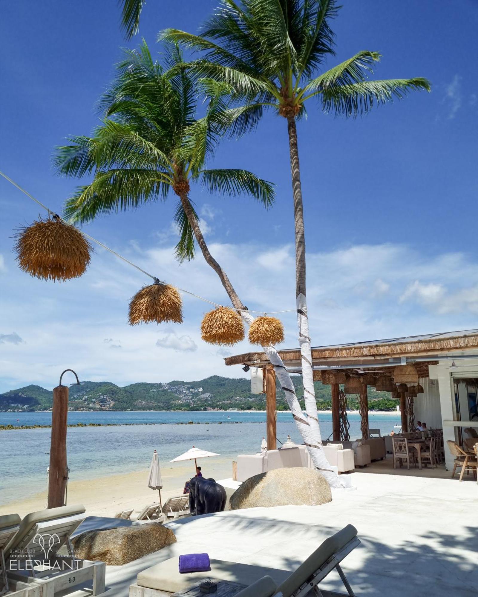 Elephant Club & Samui Resort 4*