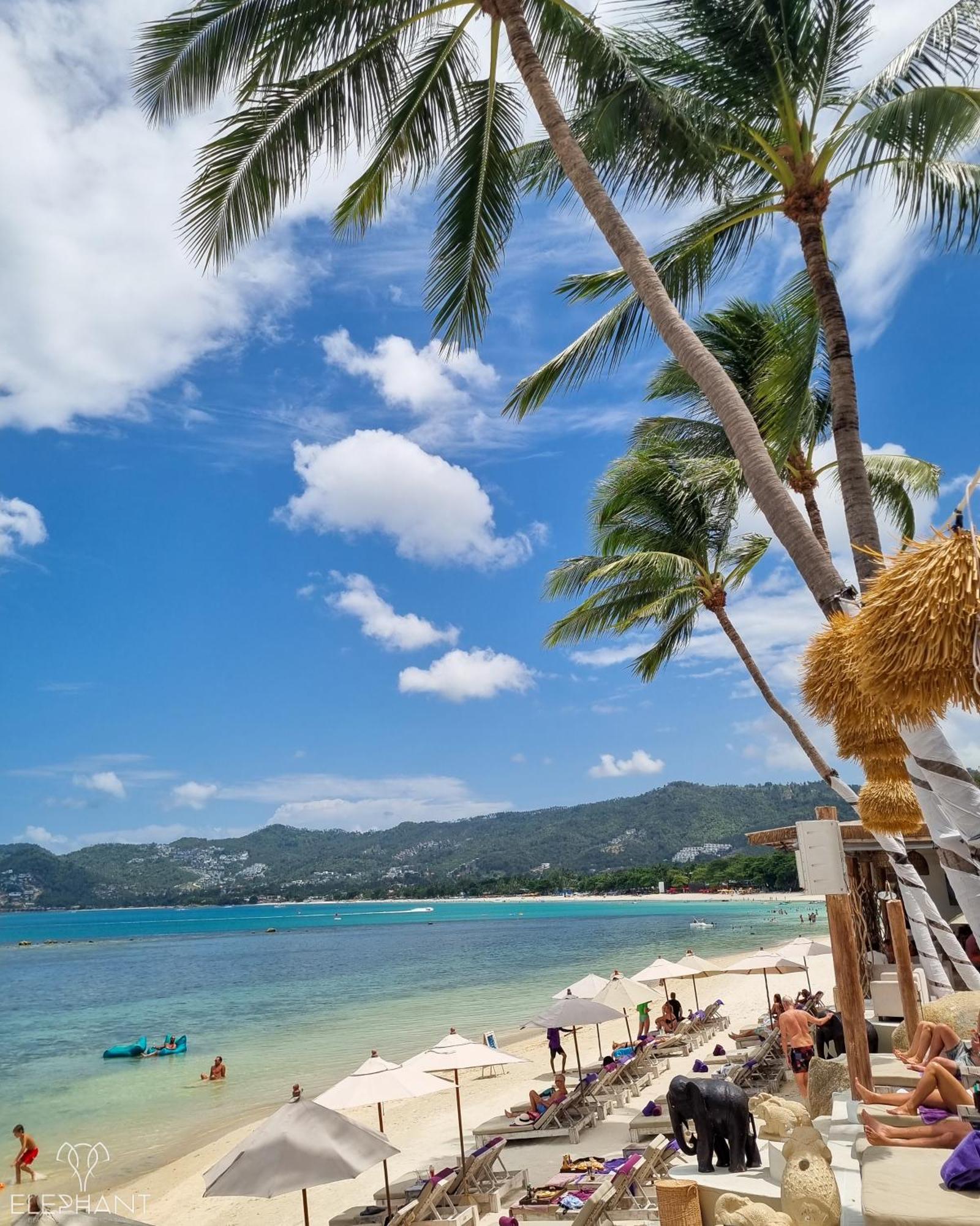 Elephant Club & Samui Resort