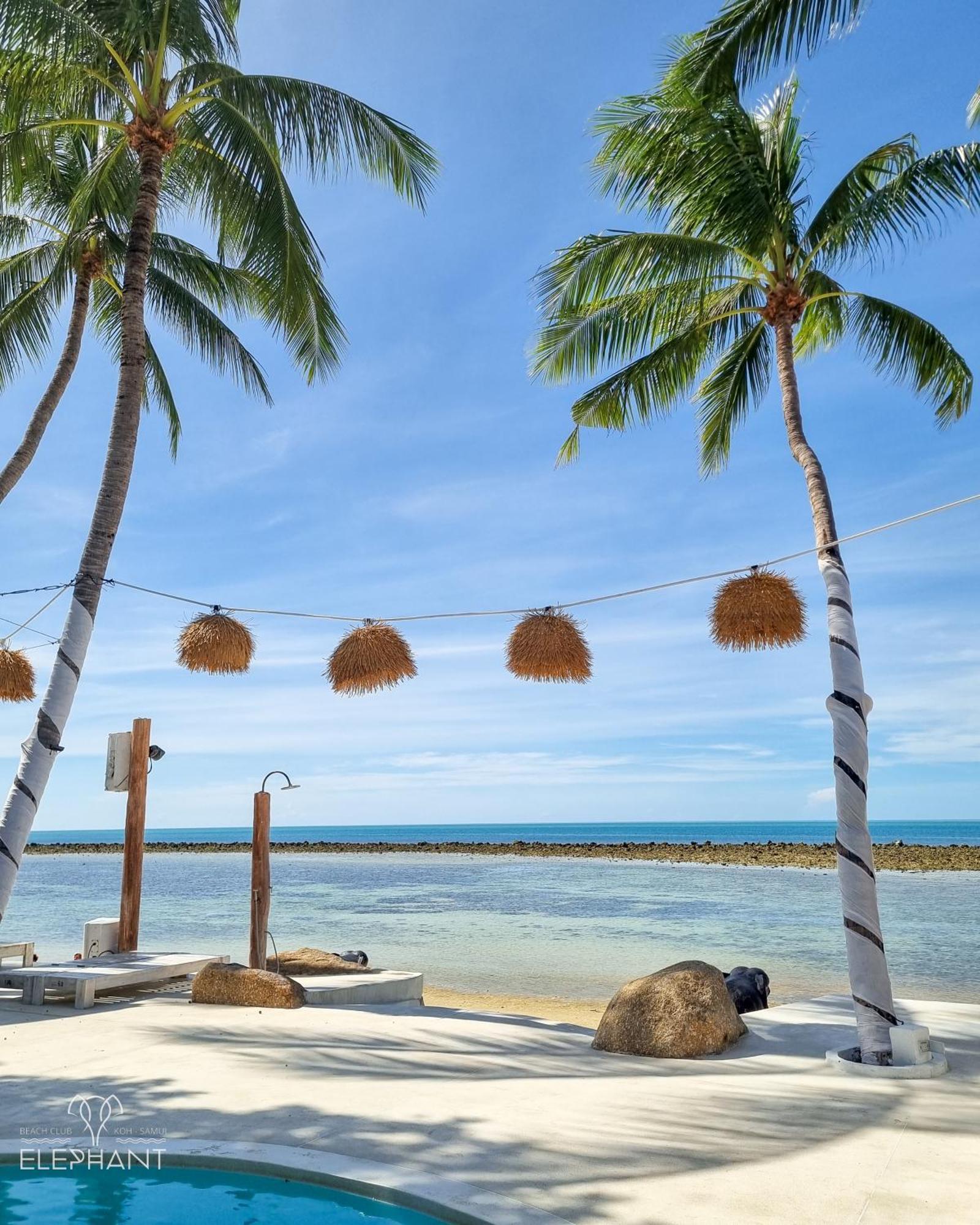 Elephant Club & Samui Resort