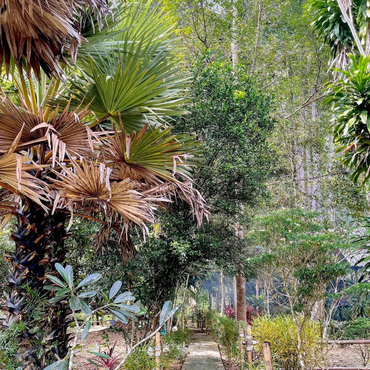 Khao Sok Mountain View