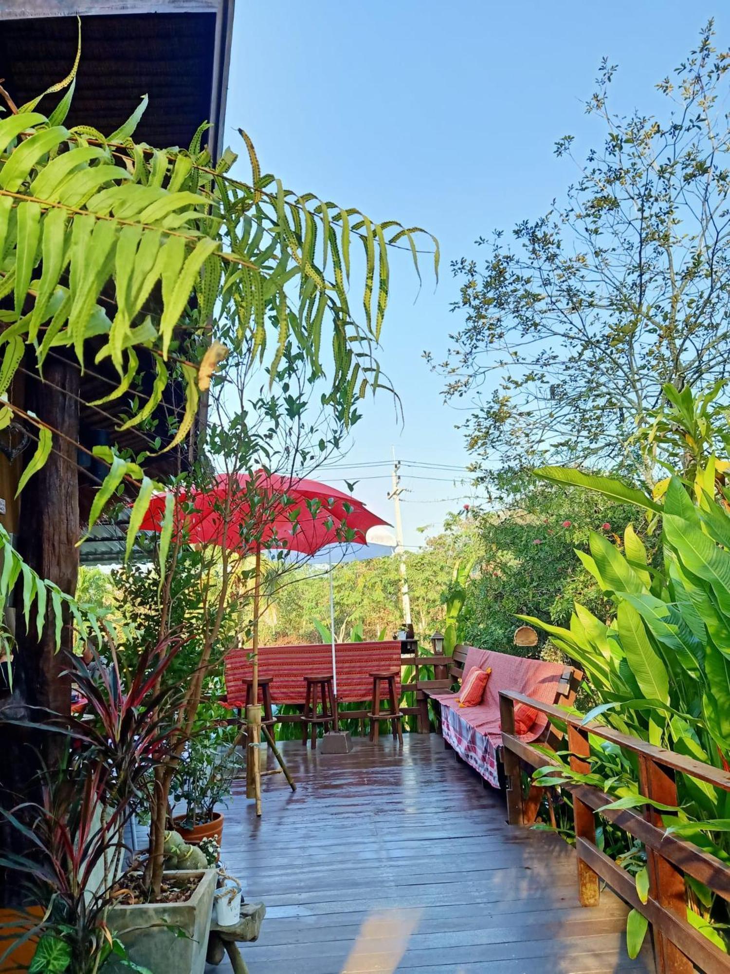 Pura Vida 3*