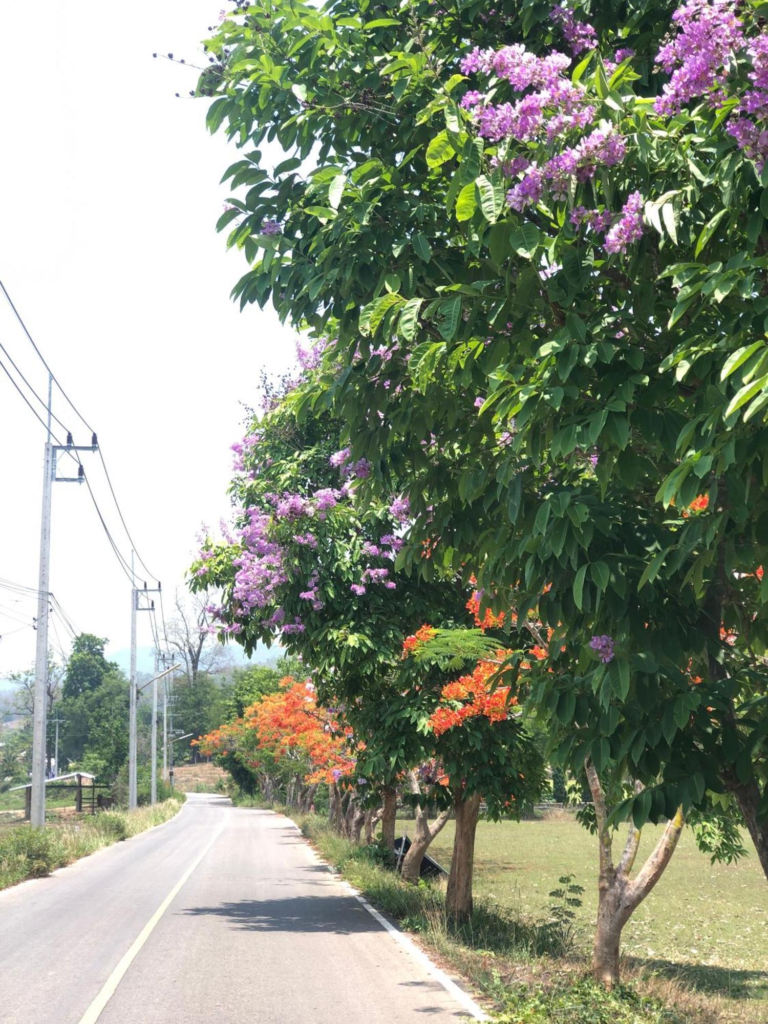 Pura Vida Resort 3*