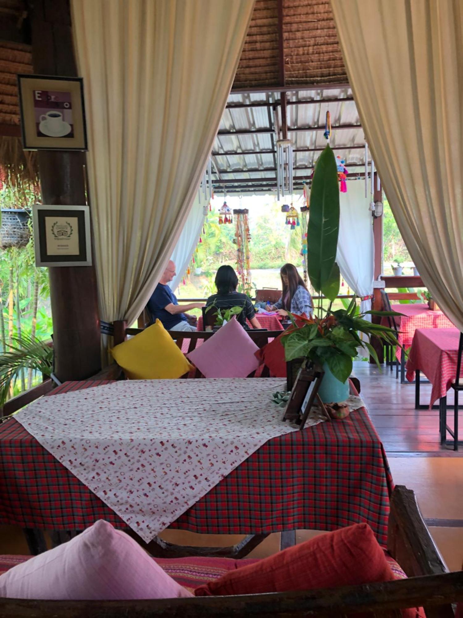 Pura Vida 3*