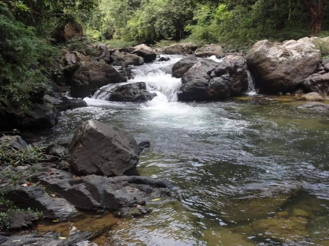 Khaosok Rainforest 3*