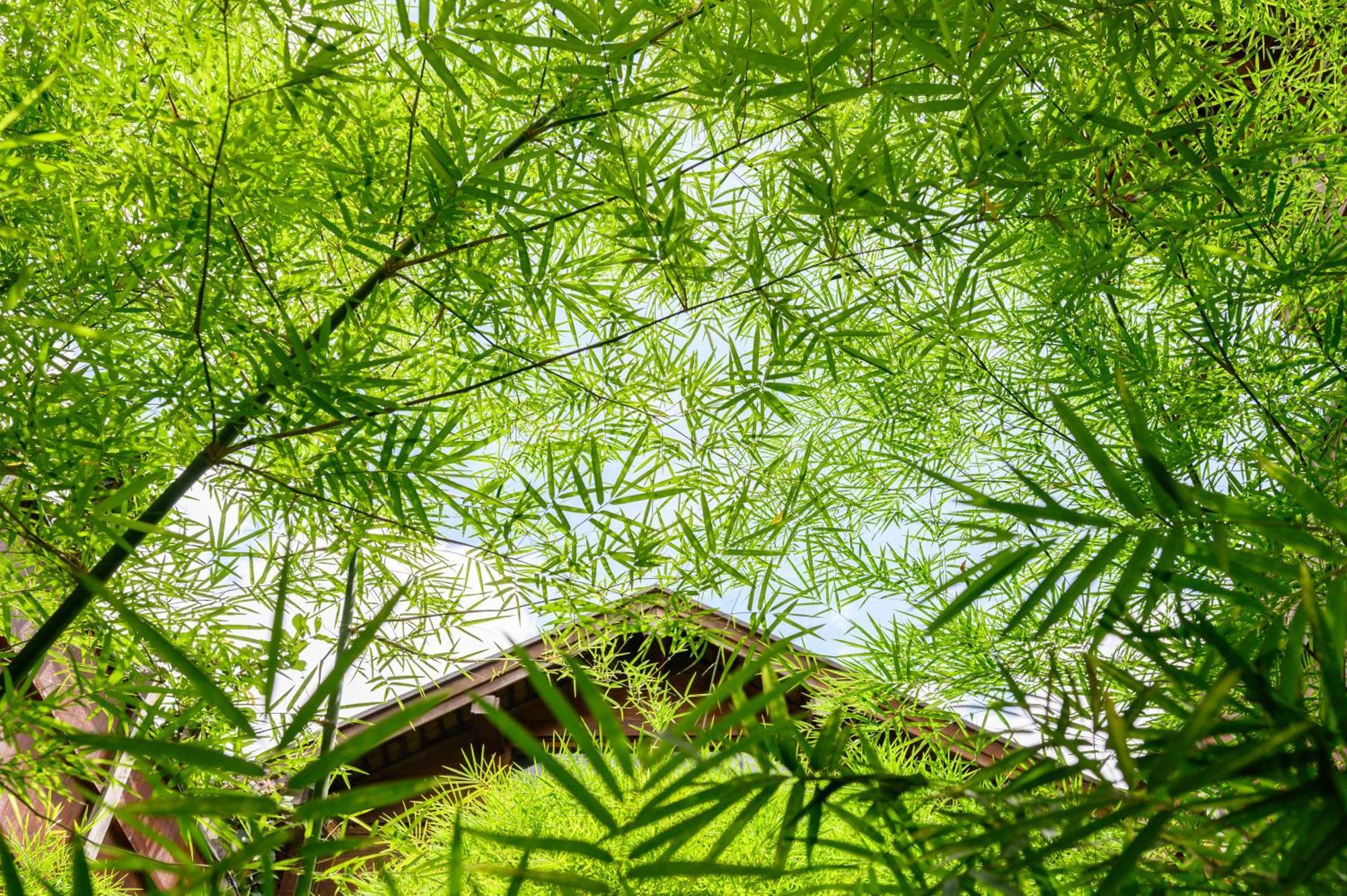 Onsen At Moncham Resort 5*