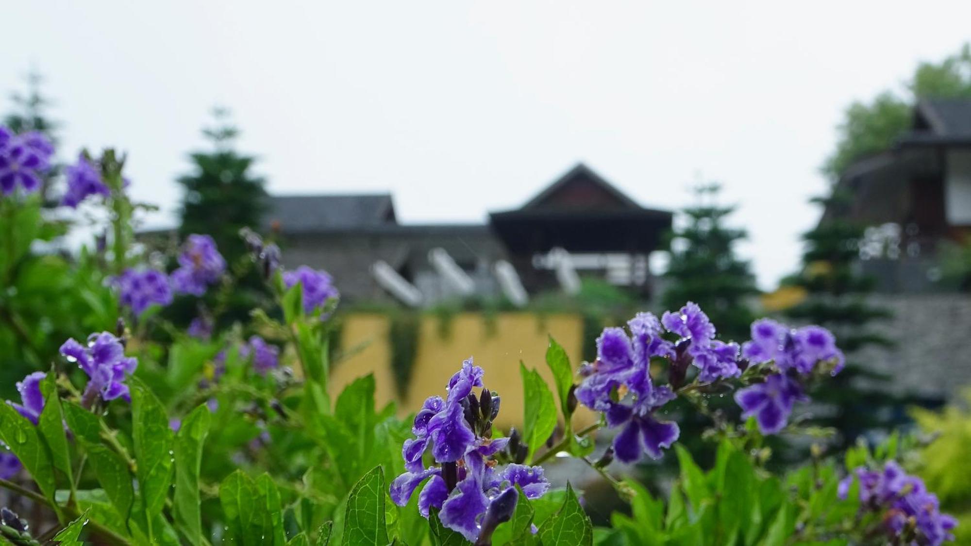 Onsen At Moncham Resort 5*