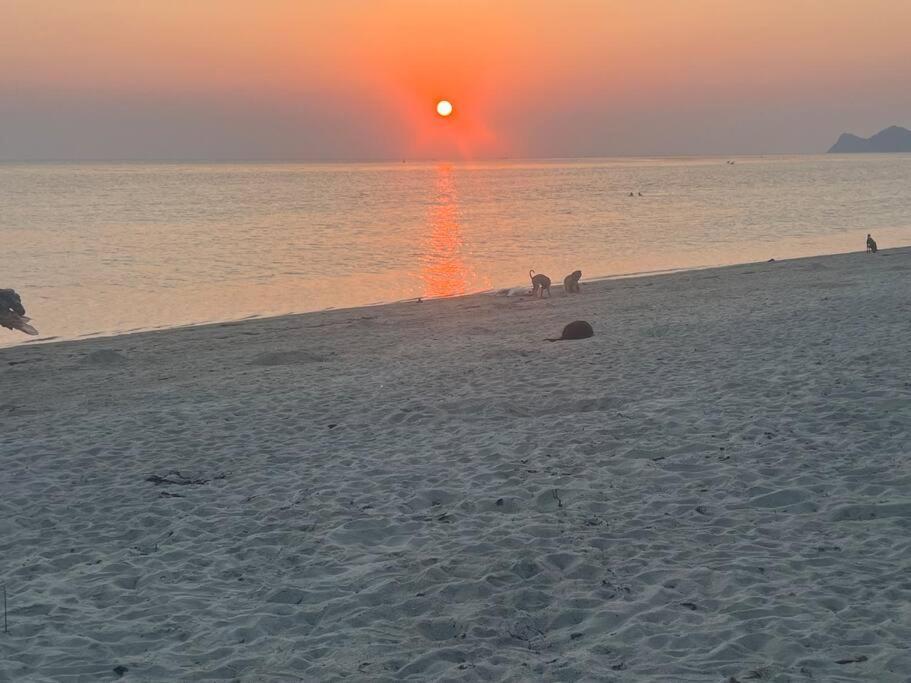 Sunset Serenity Cove Apartment Ko Pha Ngan
