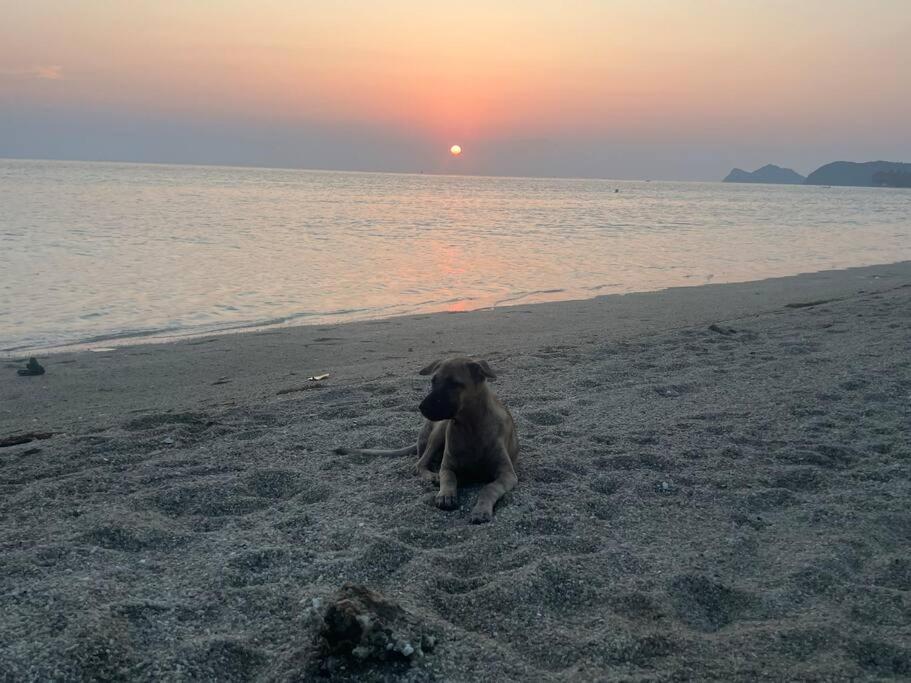 Sunset Serenity Cove *