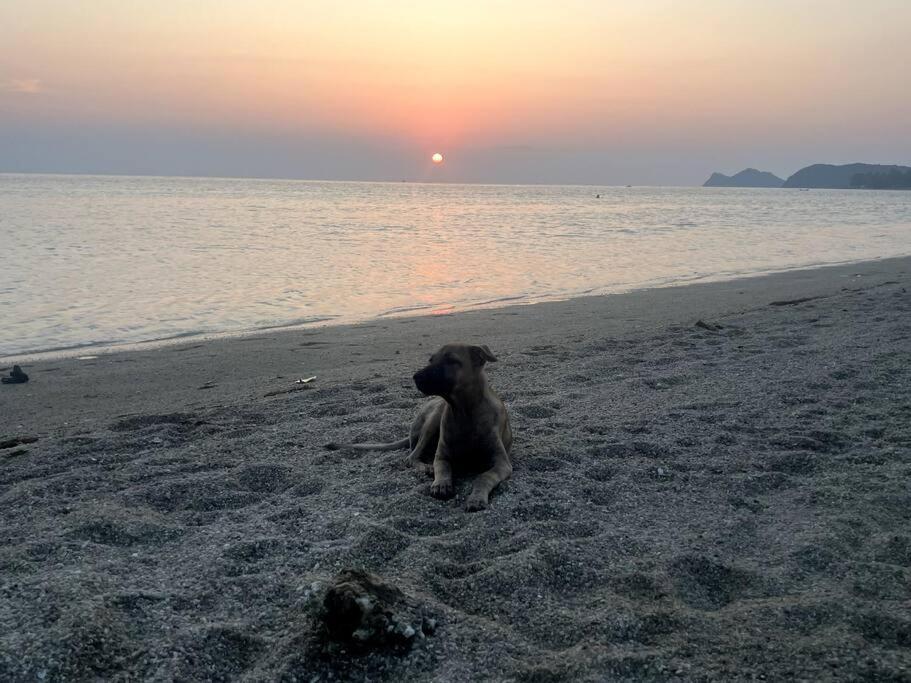 Apartment Sunset Serenity Cove Ko Pha Ngan