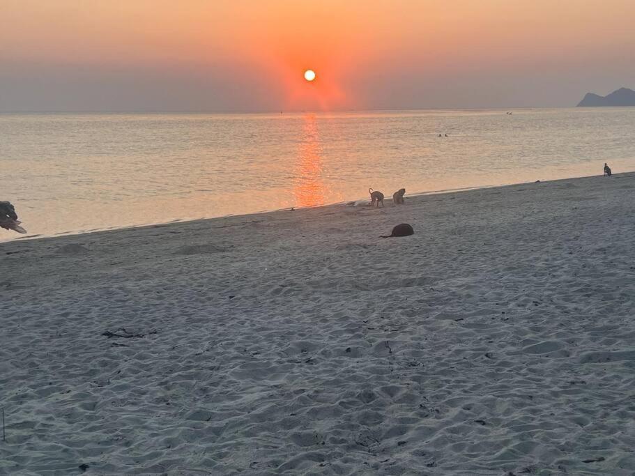 Sunset Serenity Cove * Ko Pha Ngan
