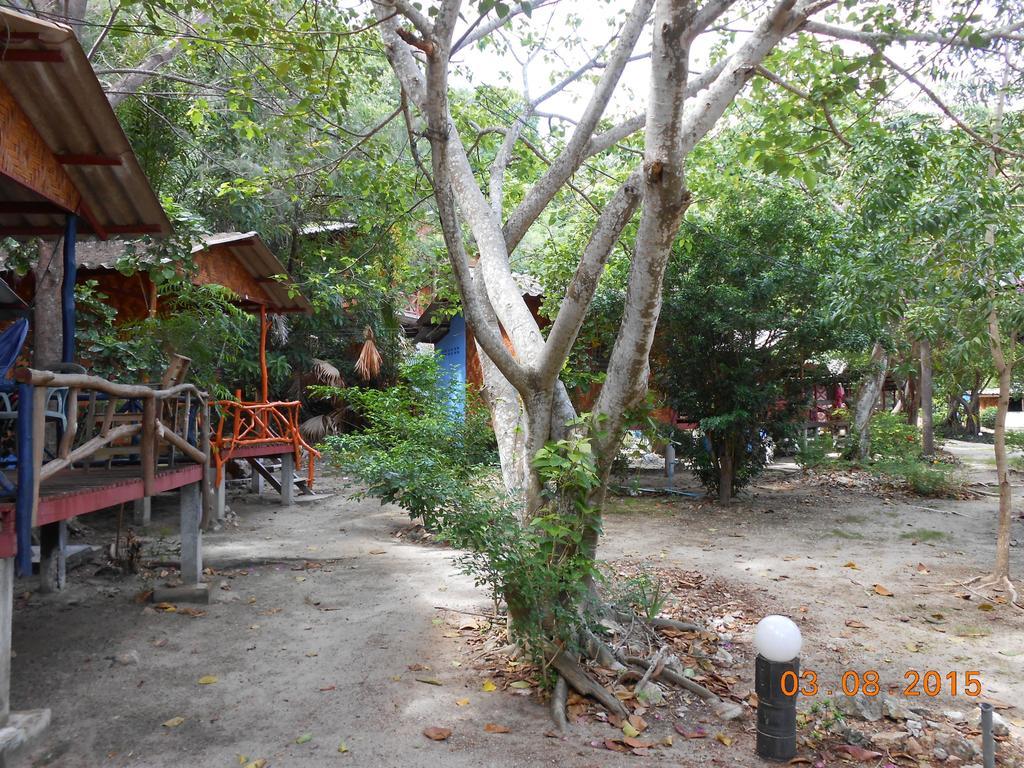 View Resort Mae Haad