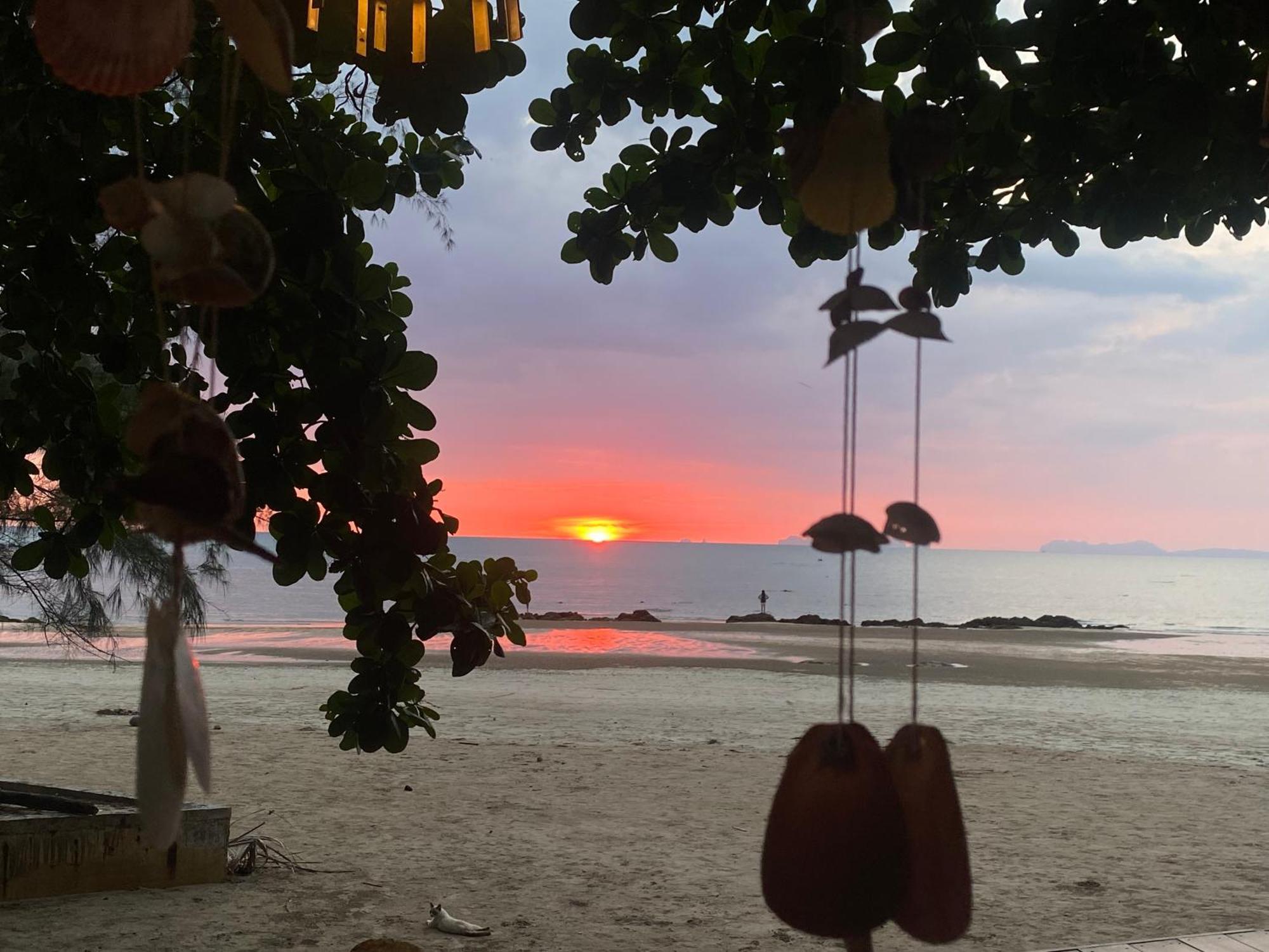 Hotel Coconut Lanta @klong Dow Krabi