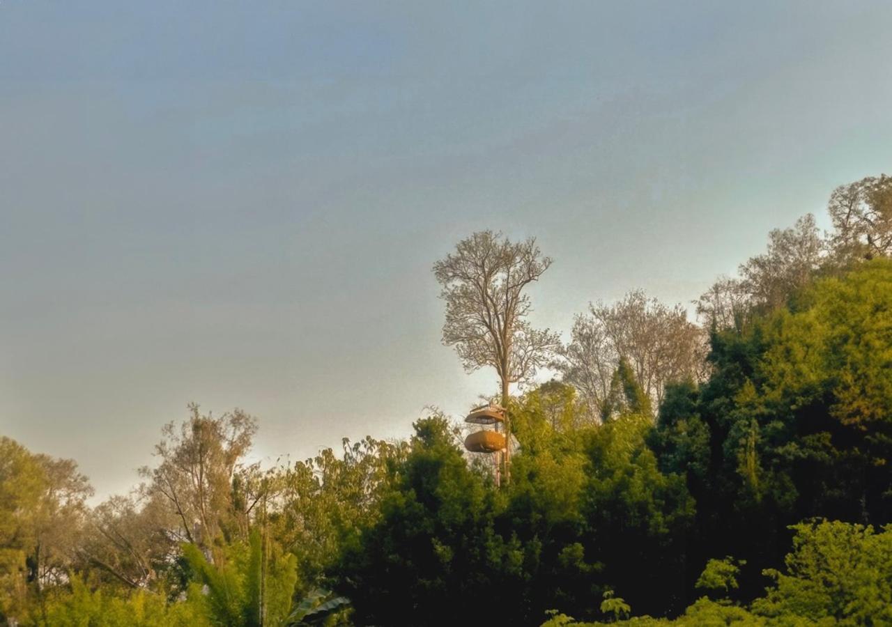 Anantara Golden Triangle Elephant Camp & Chiang Rai