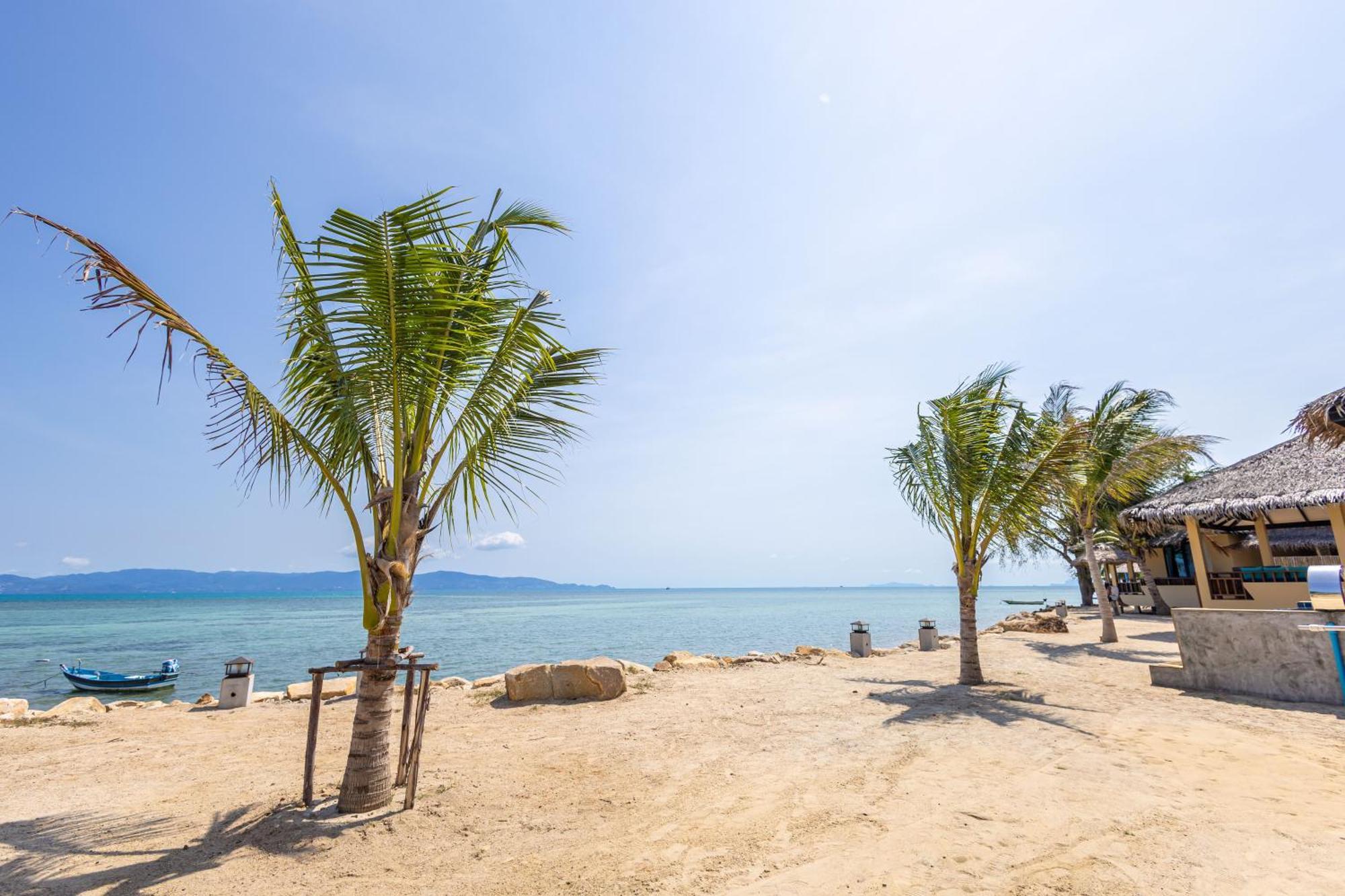 Absolute Beachfront Hotel