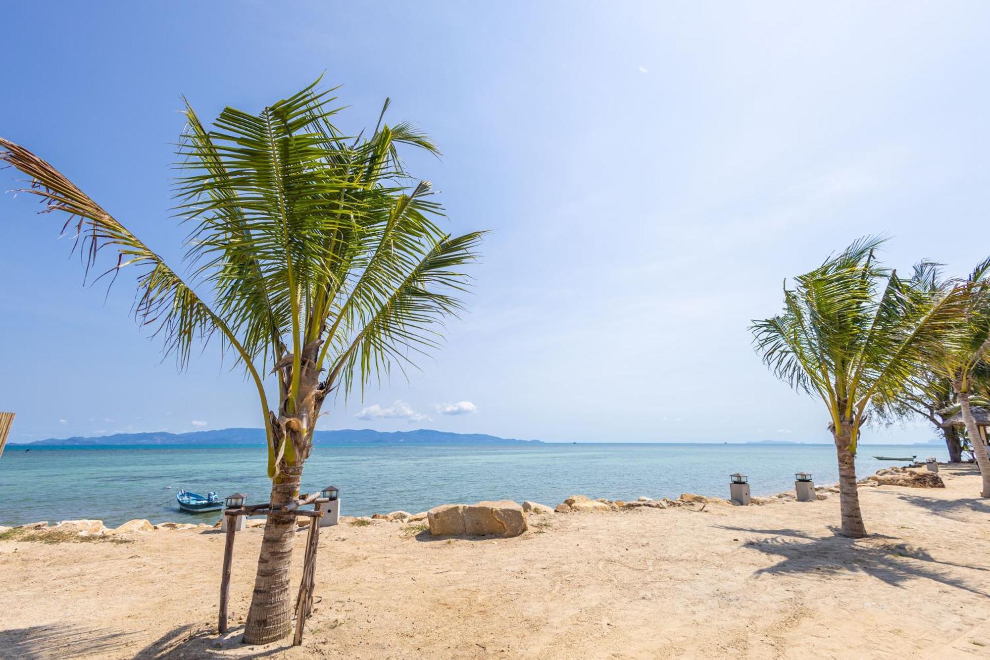 Absolute Beachfront Hotel