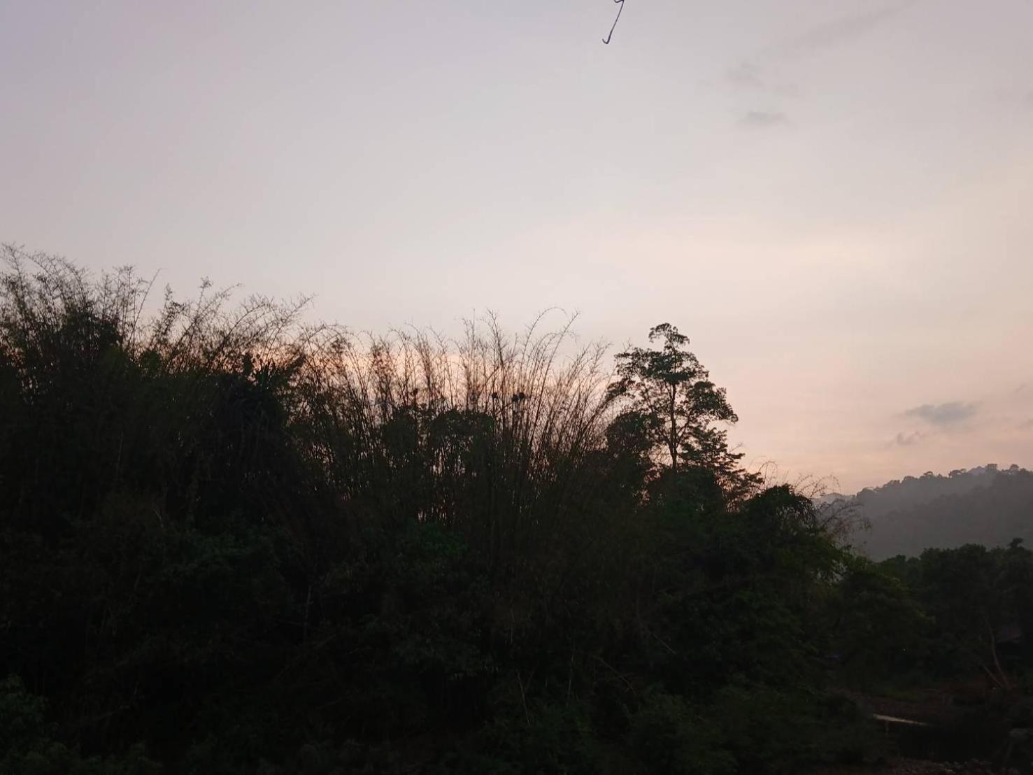 Campo de férias Bamboo House