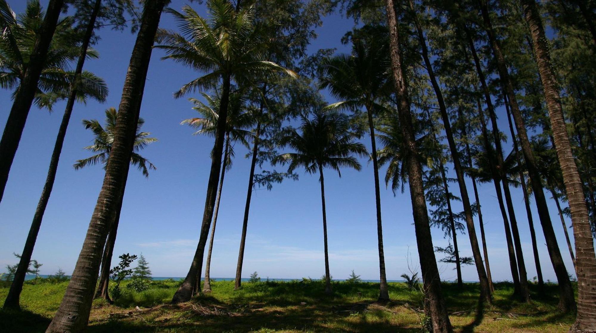 Resort Khaolak Blue Lagoon - Sha Extra Khao Lak