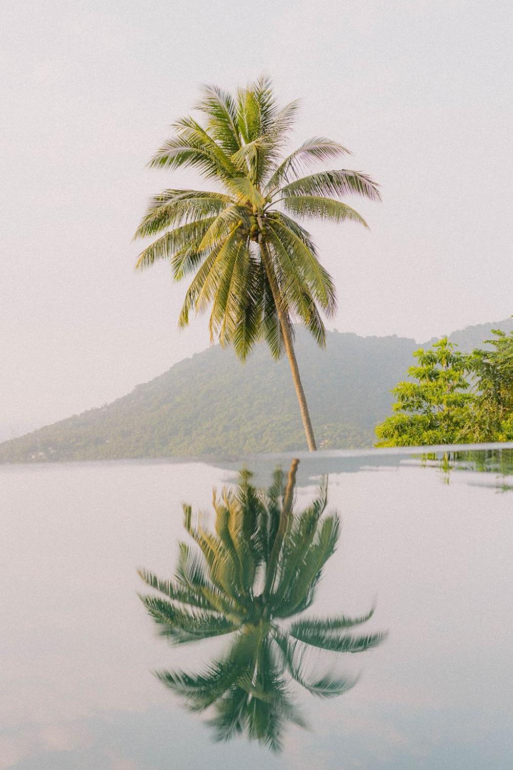 Perfect View Pool Koh Tao