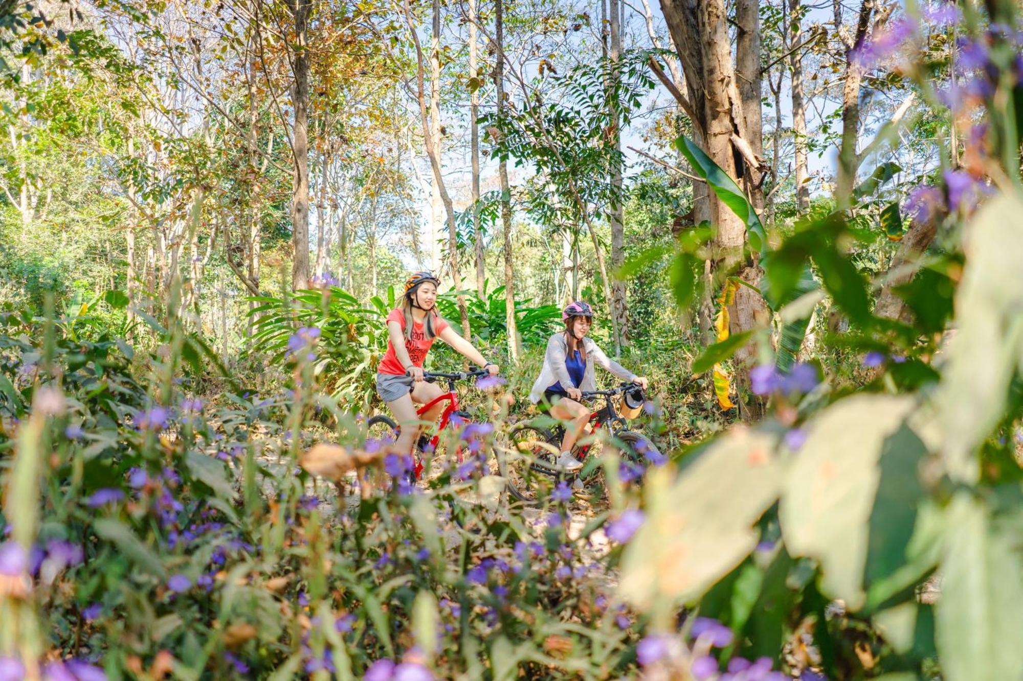 Katiliya Mountain And Mae Salong Nai