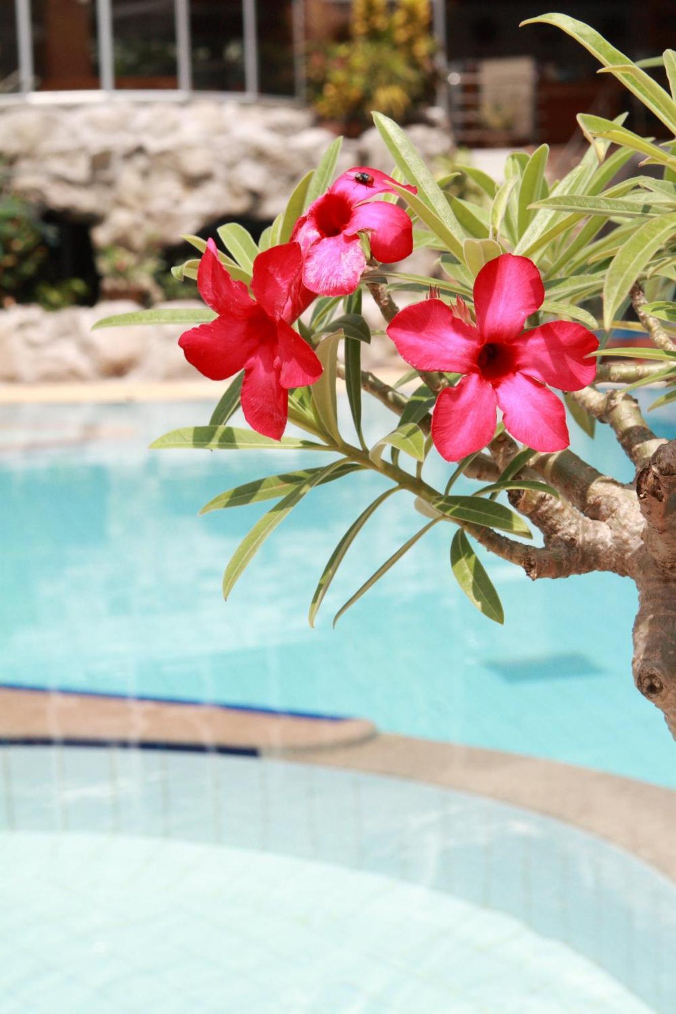 Samui First House Hotel Chaweng (Koh Samui)