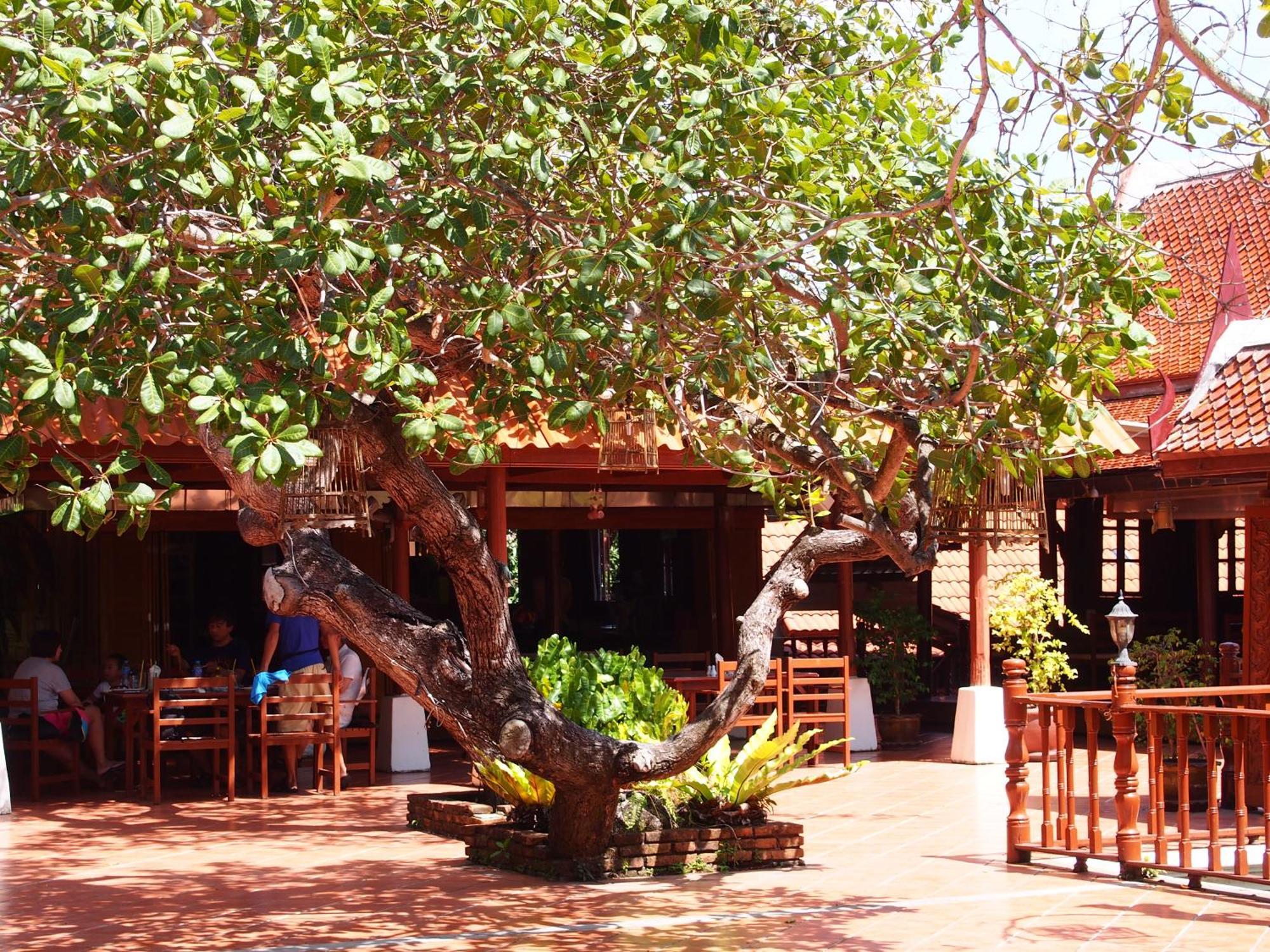 Resort Harry's 3*