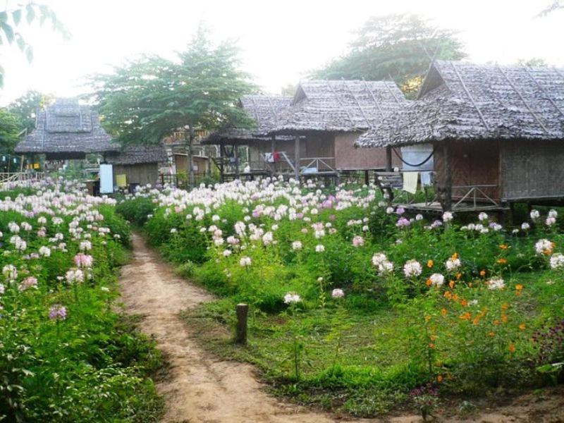 Resort Family Hut