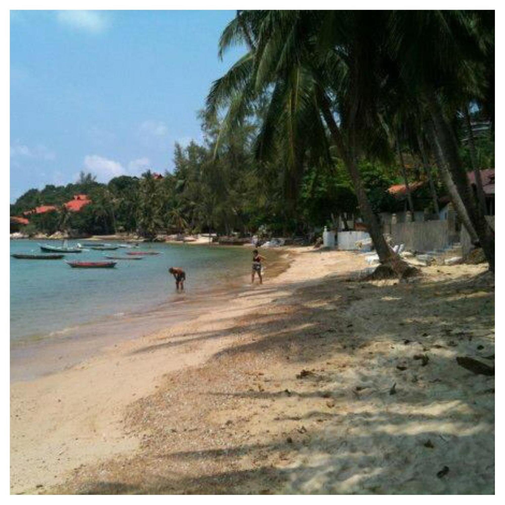 Jungle Hut & Hotel Haad Chao Phao