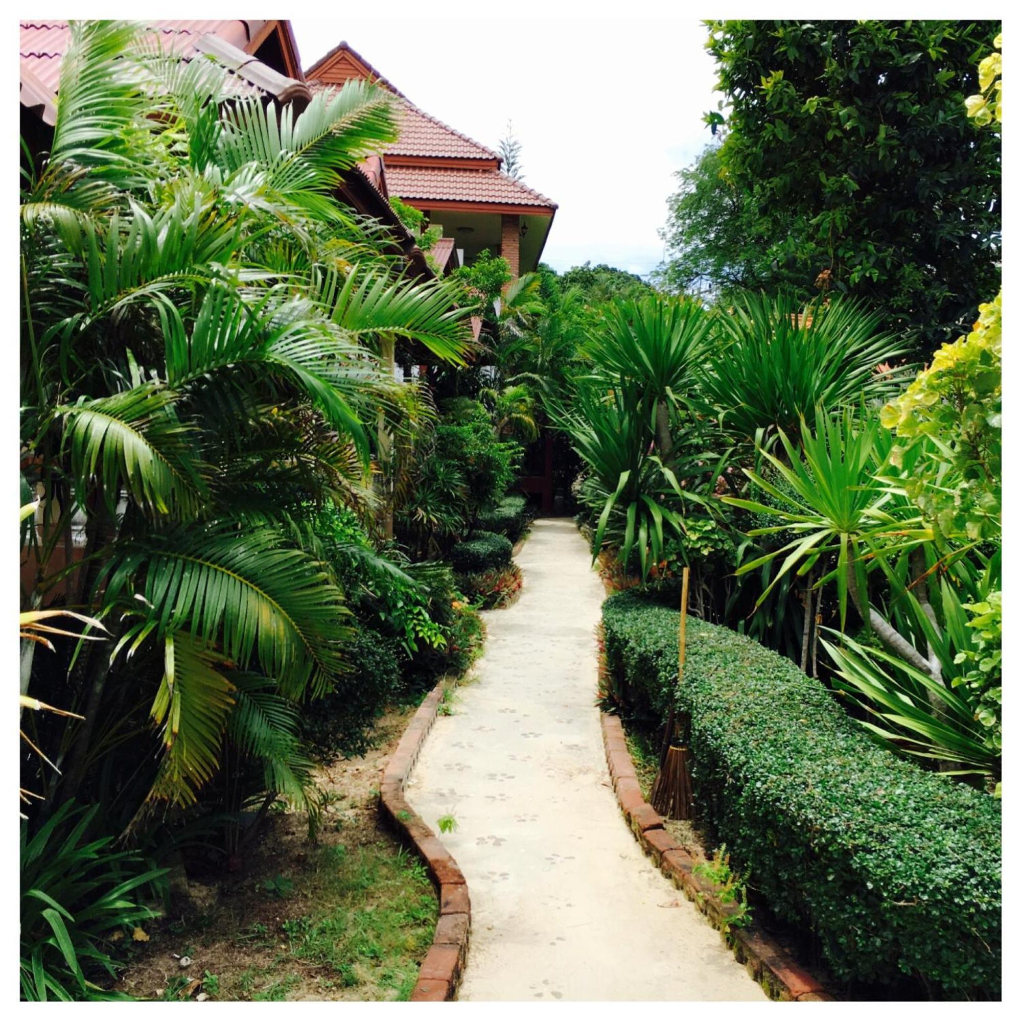 Jungle Hut & Hotel