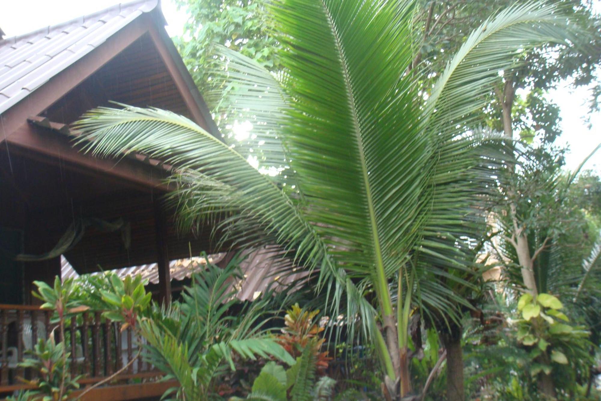 Silver Sands - Resort