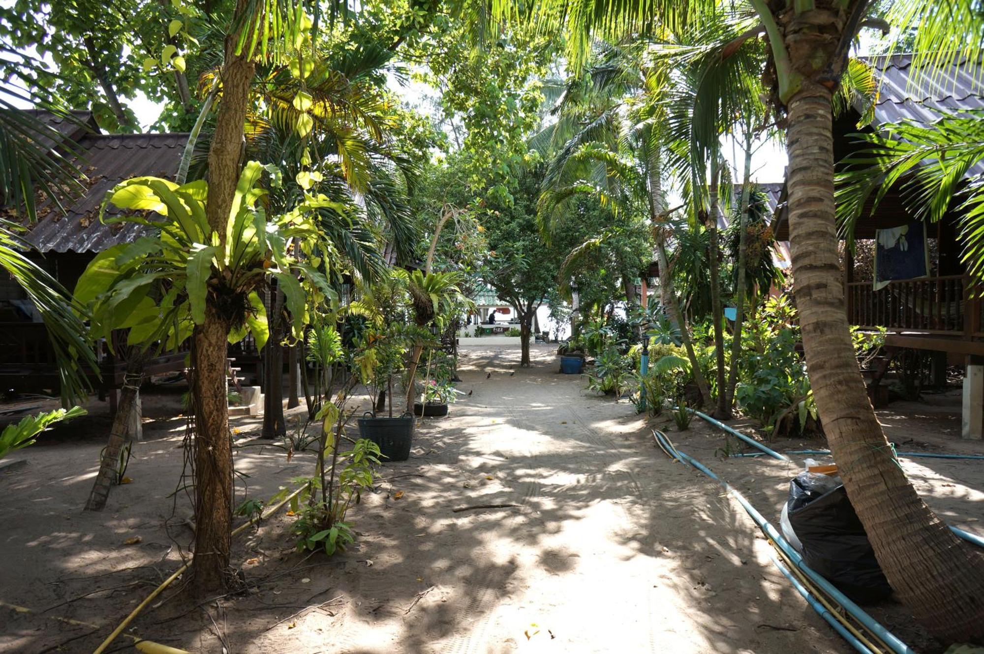 Resort Silver Sands - Koh Tao