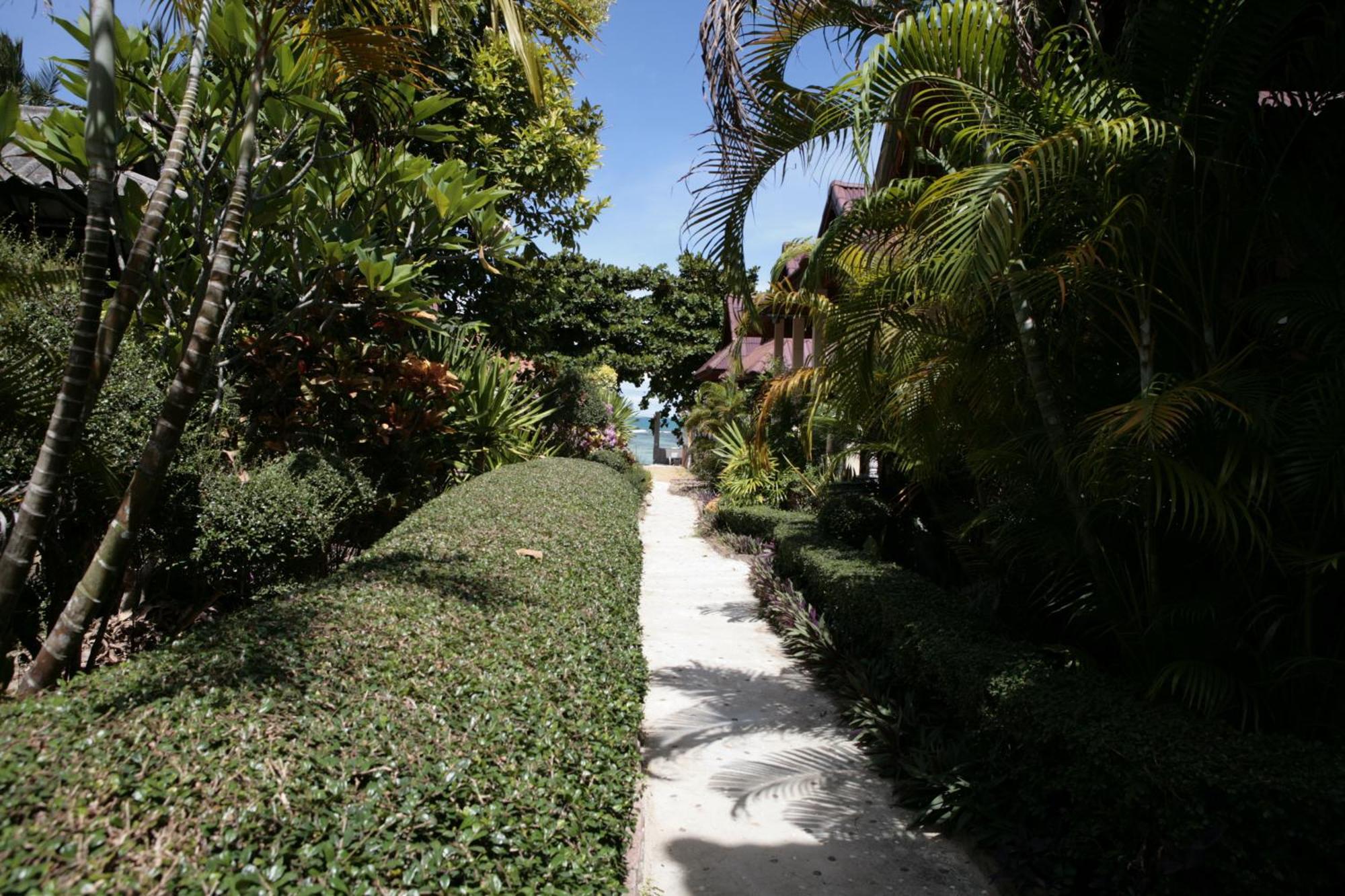 Hotel Jungle Hut & Haad Chao Phao