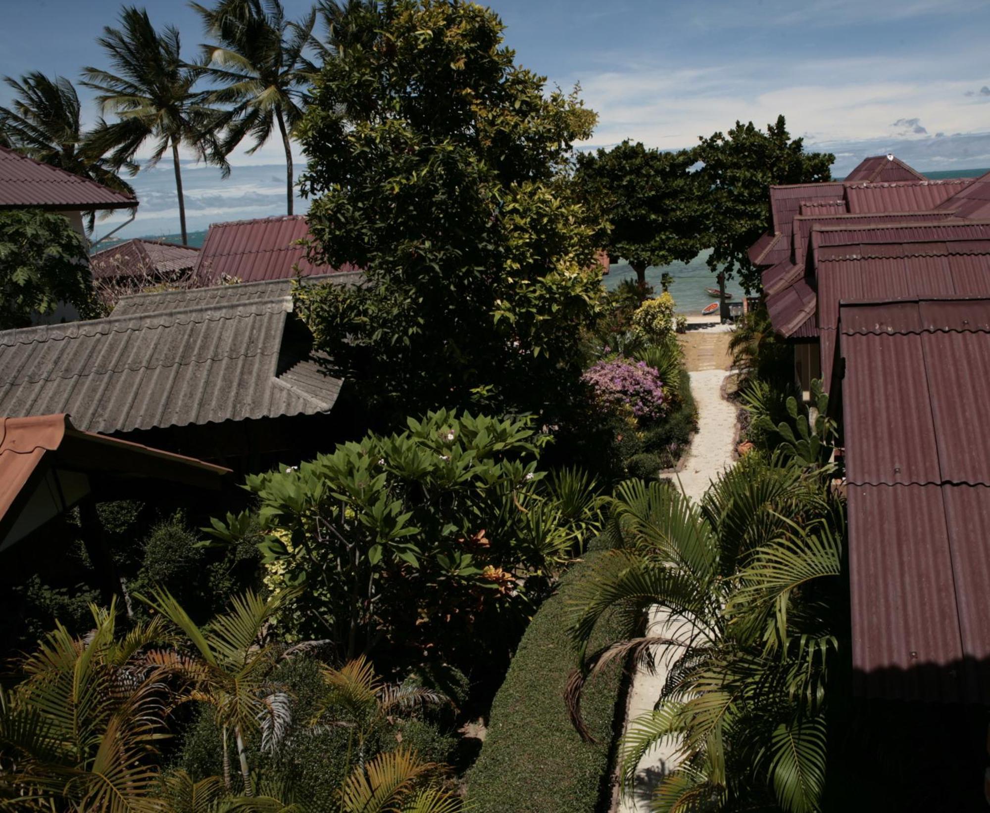 Jungle Hut & Hotel