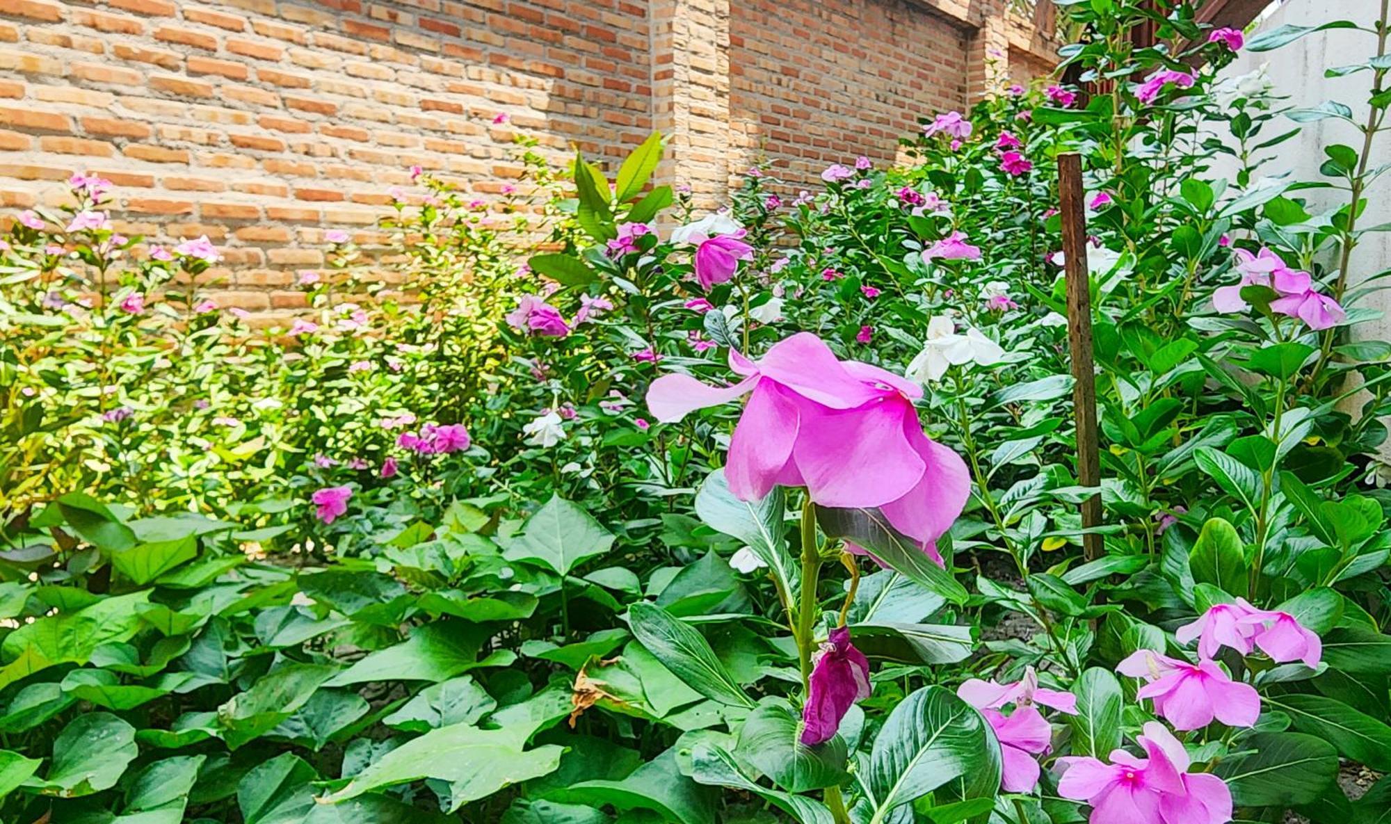 Baan Bhuwann Apartment *