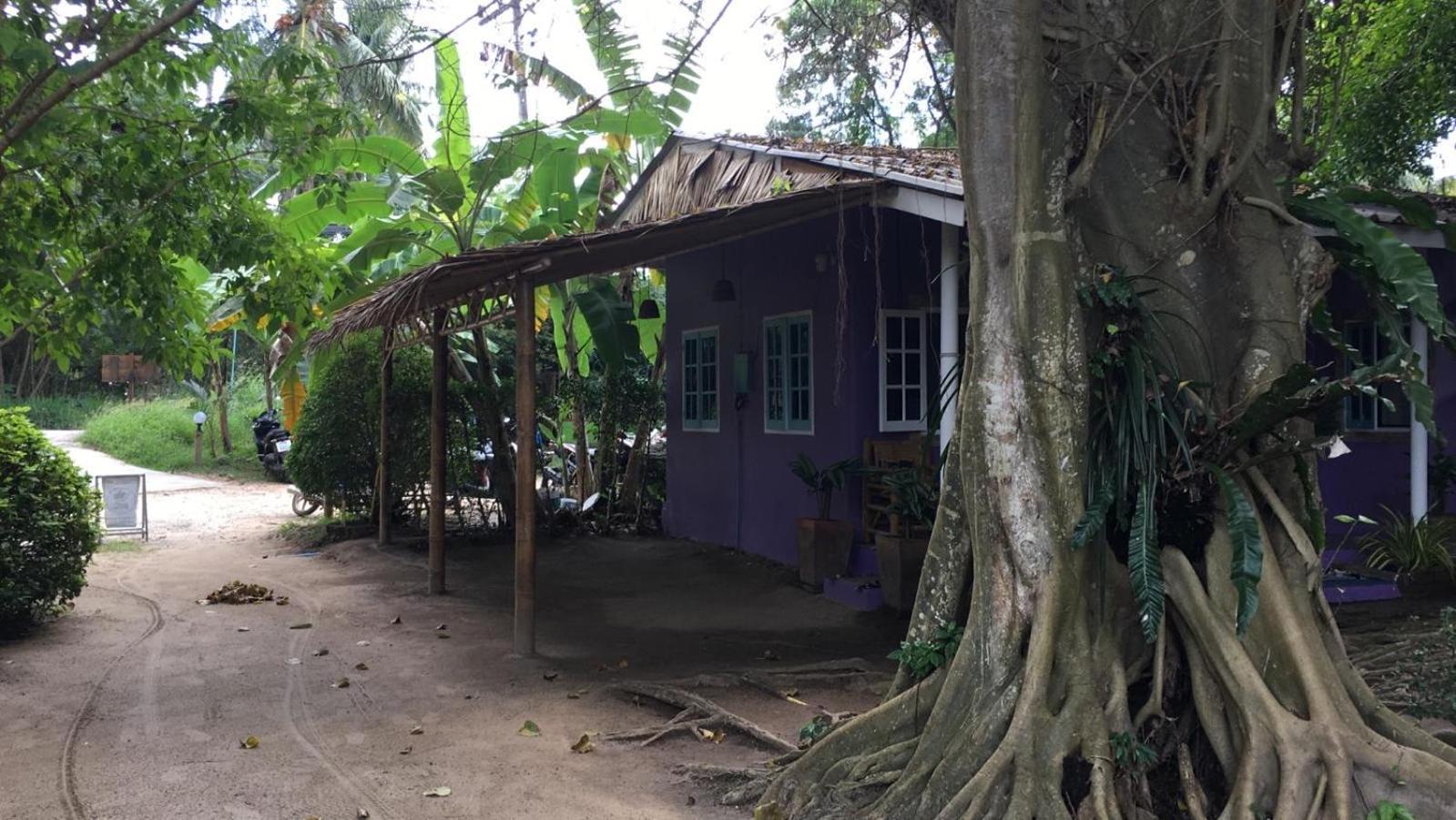 Colorful Hut Ko Pha Ngan