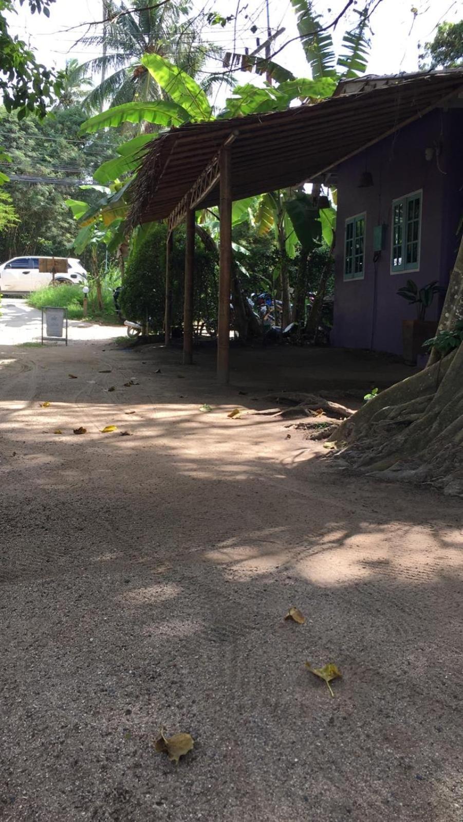 Resort Colorful Hut