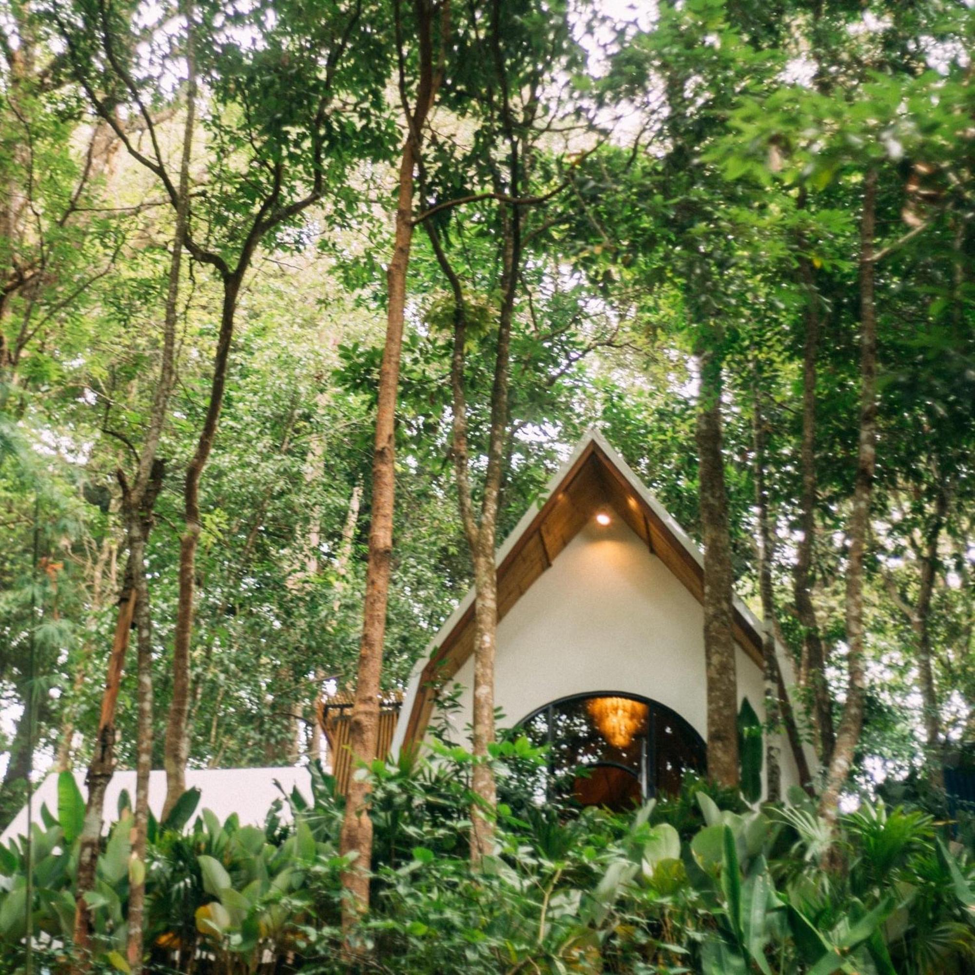 Lannawild Chiang Mai